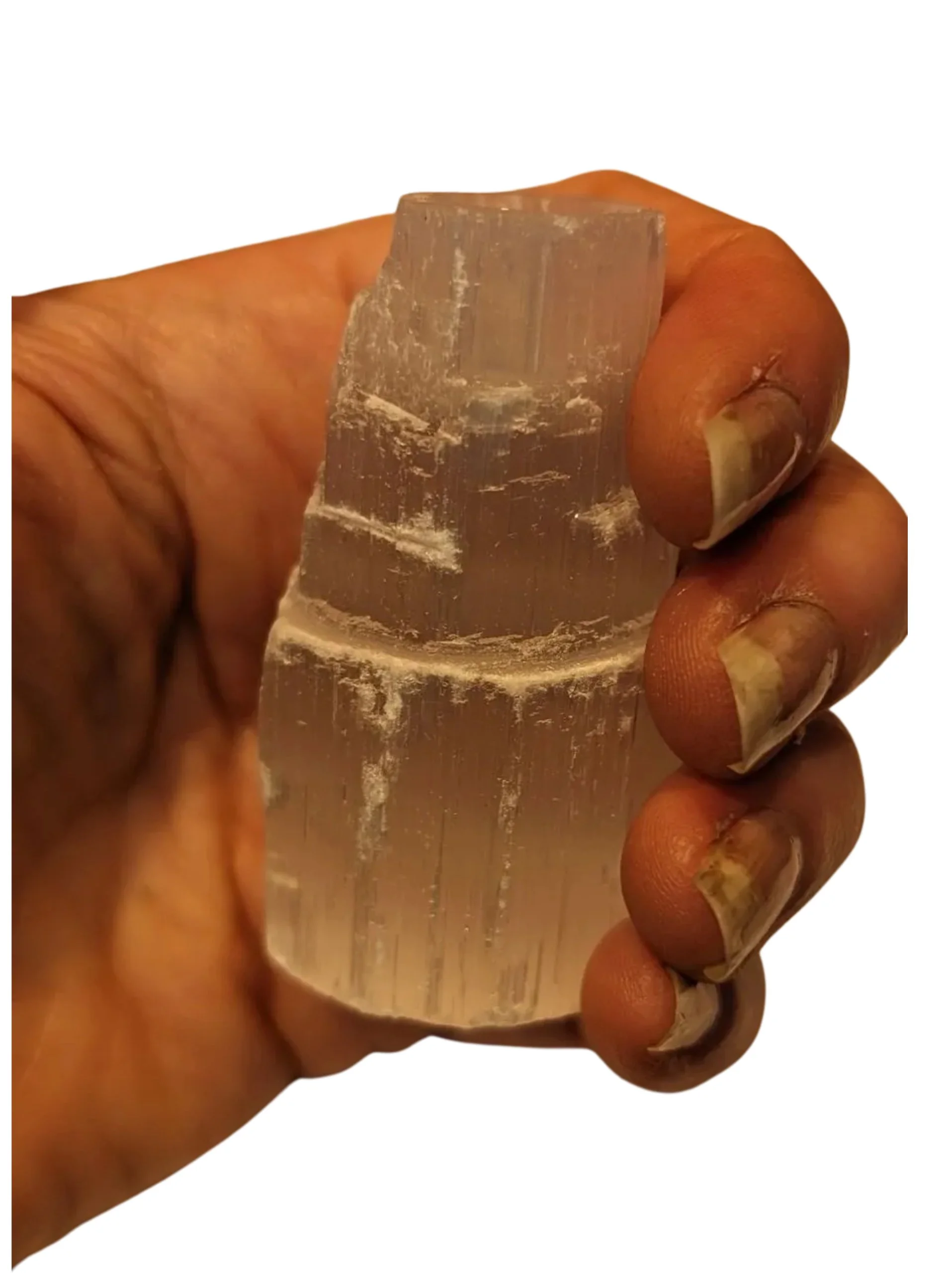 Studio-Project - 2025-12-10T121217.029.jpg