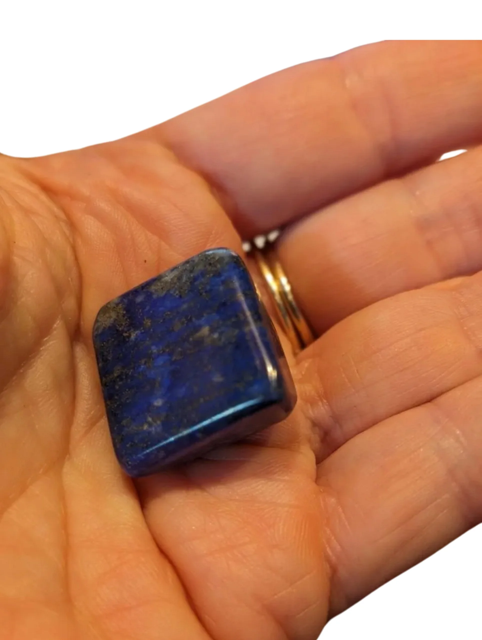 Studio-Project - 2025-12-07T123029.854.jpg