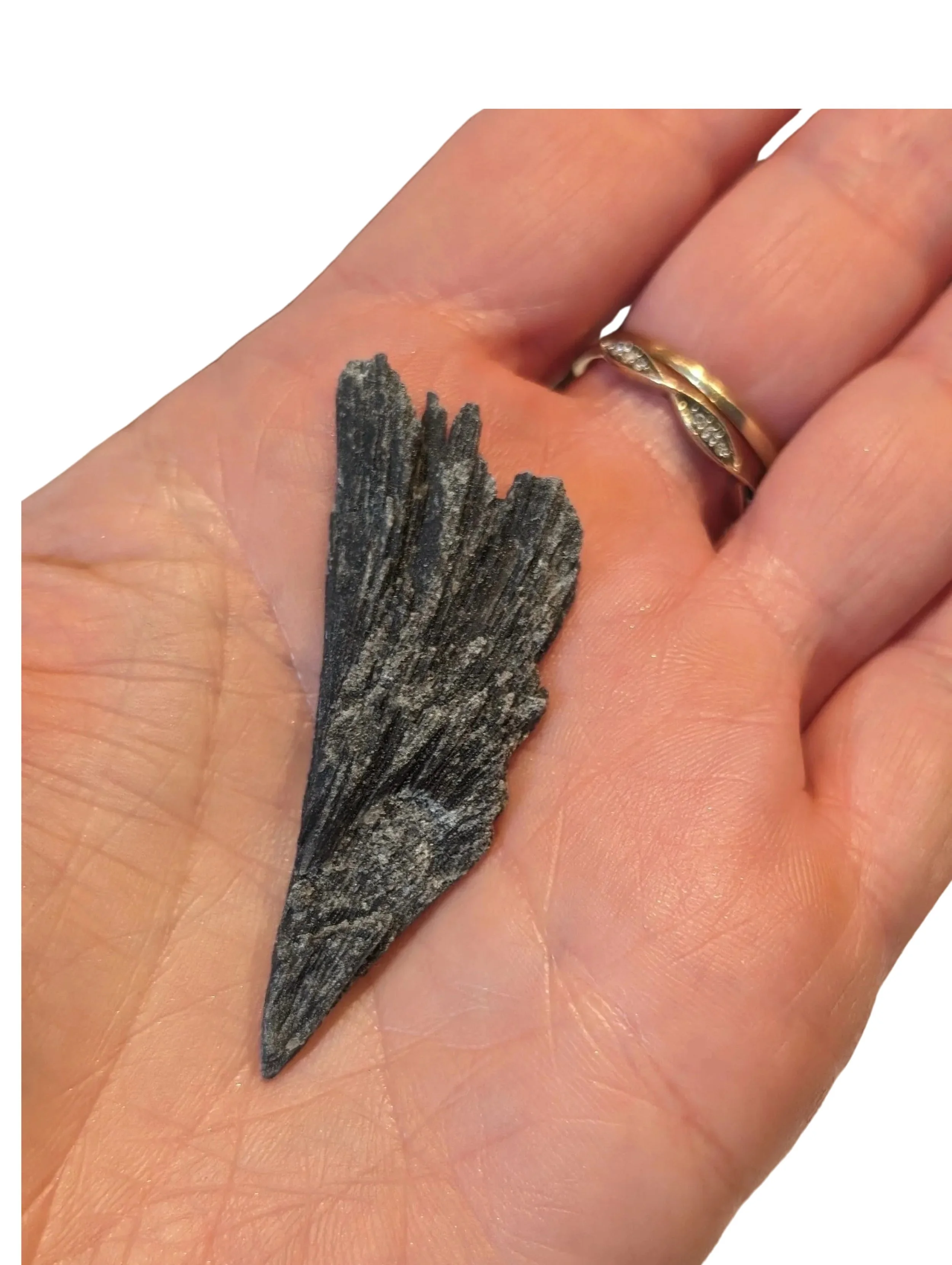 Studio-Project - 2025-12-07T121248.396.jpg