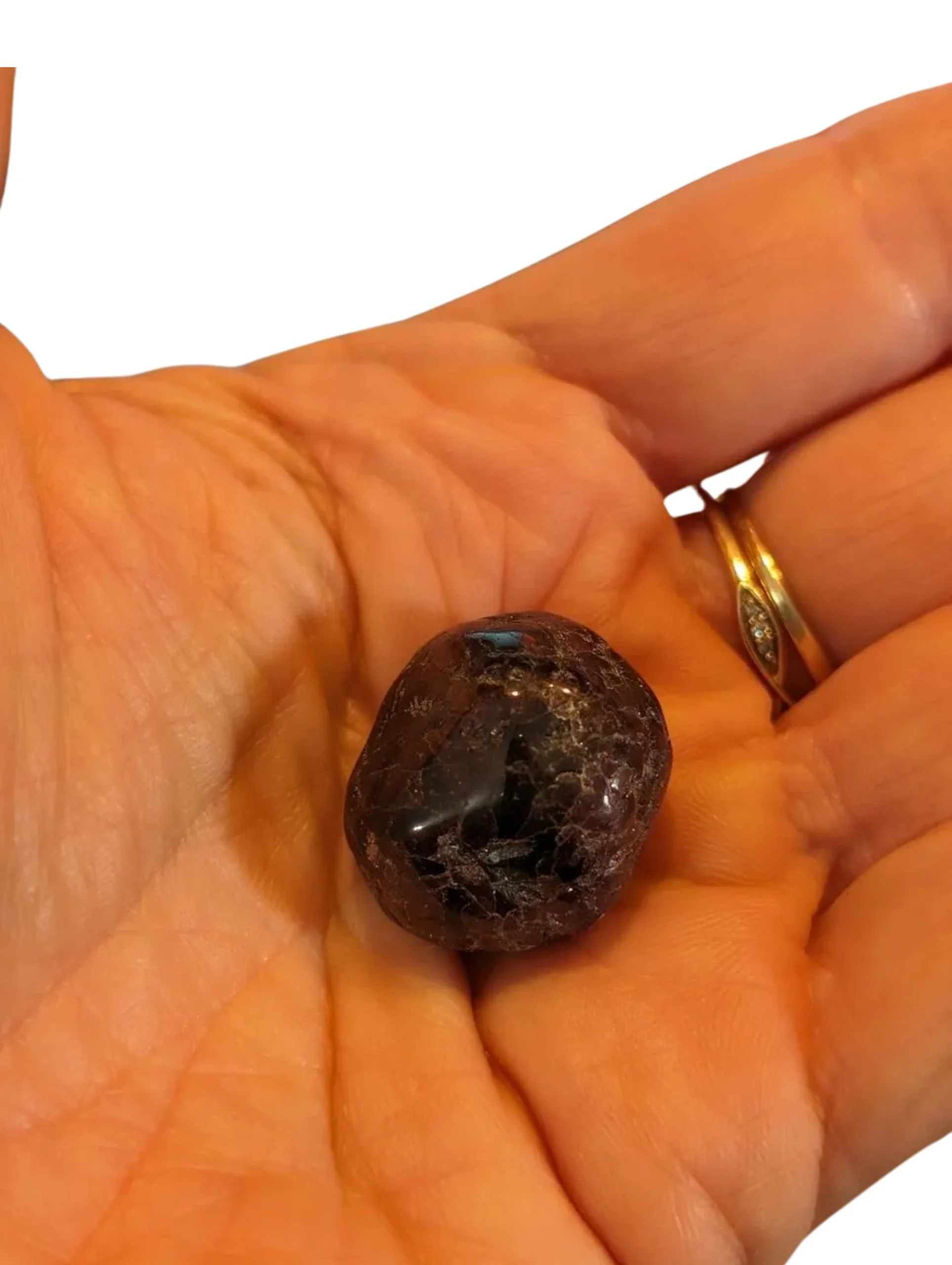 Studio-Project - 2026-01-05T152146.216.jpg