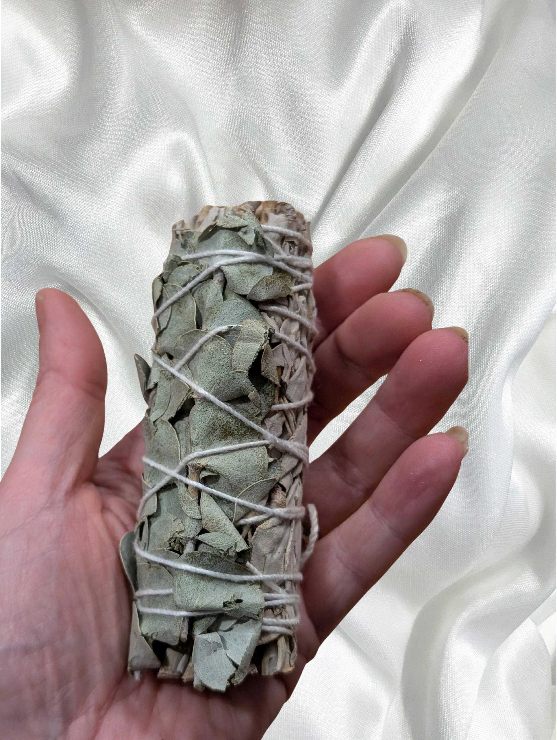 Content-Creator-Project (9).png