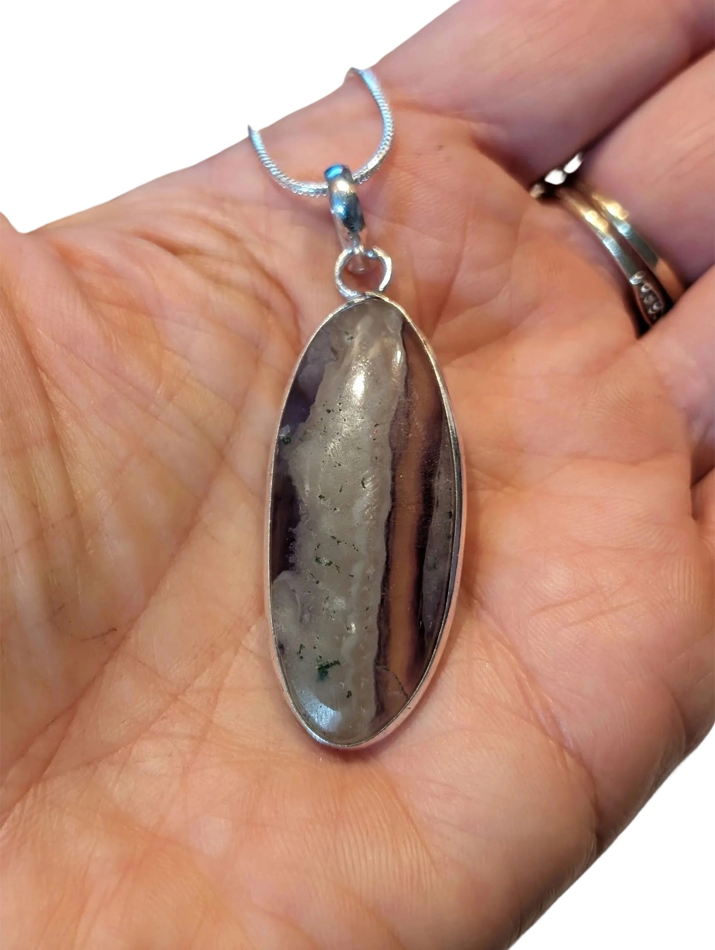 Studio-Project - 2026-01-20T151921.021.jpg