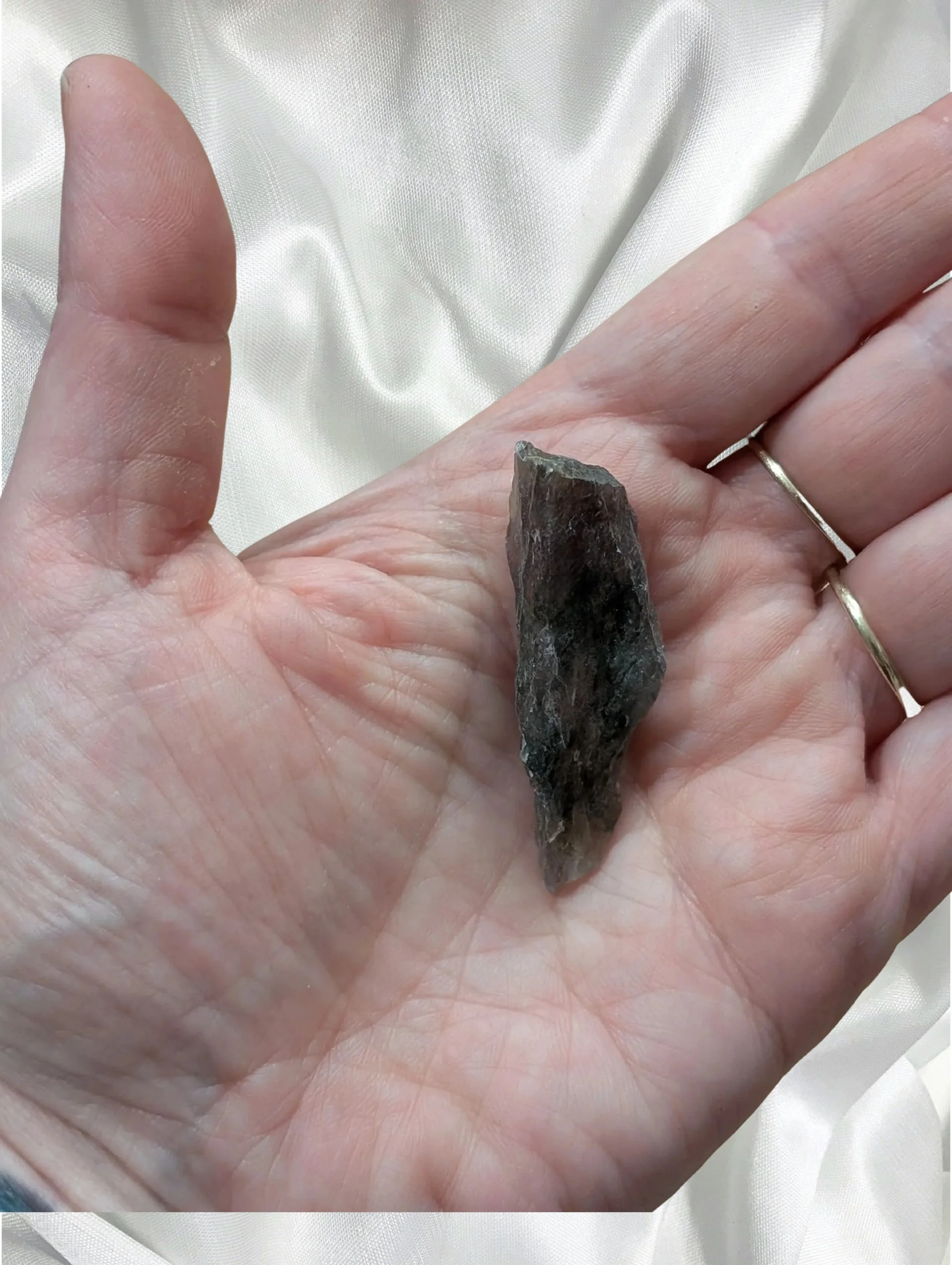 Studio-Project - 2026-02-19T050636.144.jpg