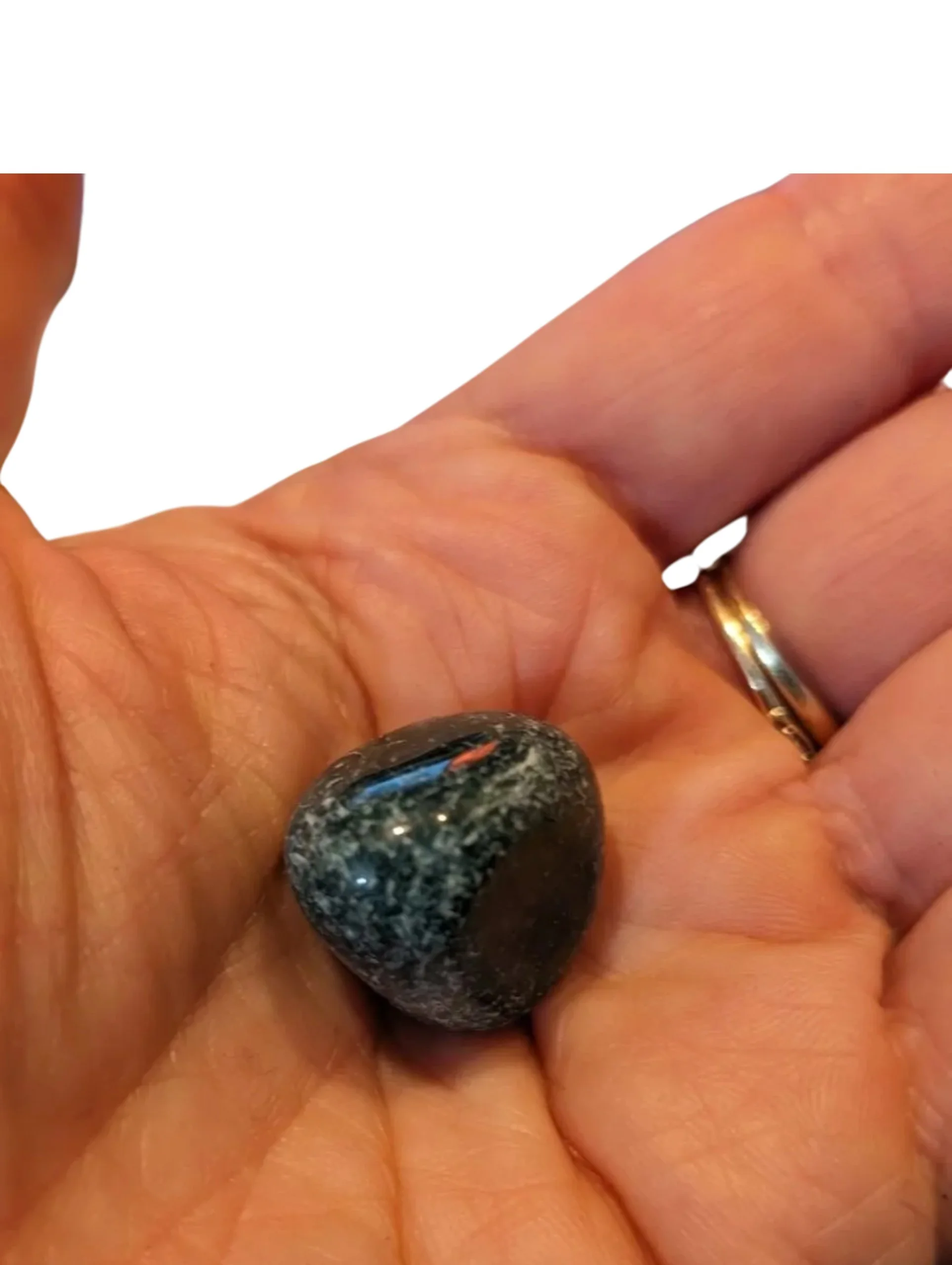 Studio-Project - 2026-01-05T155549.935.jpg