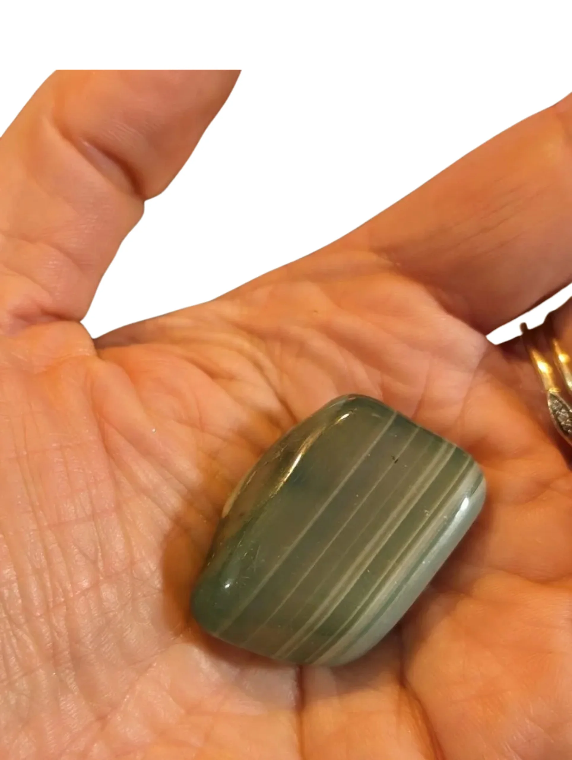 Studio-Project - 2025-12-10T111236.081.jpg