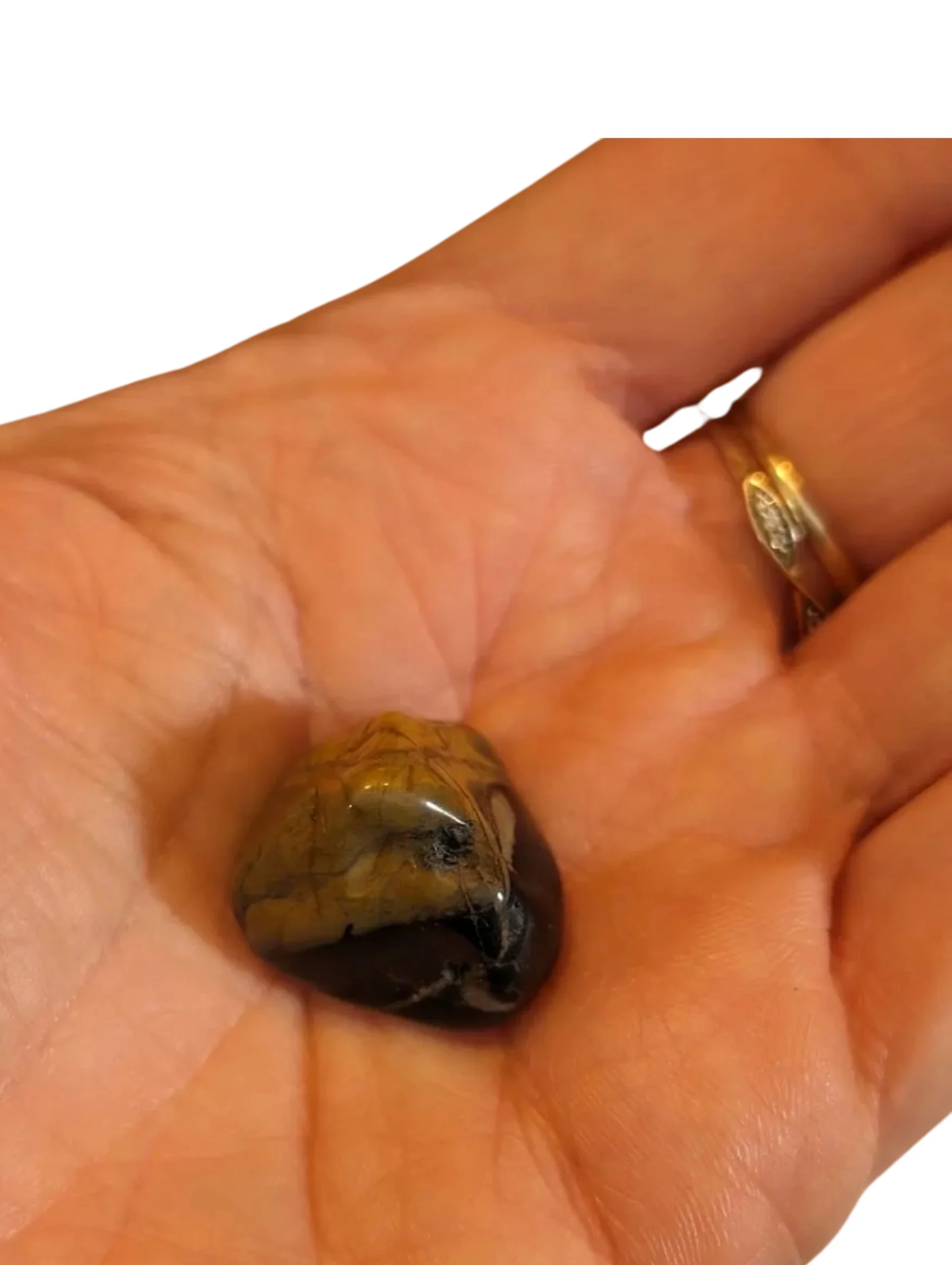 Studio-Project - 2026-01-05T165250.096.jpg