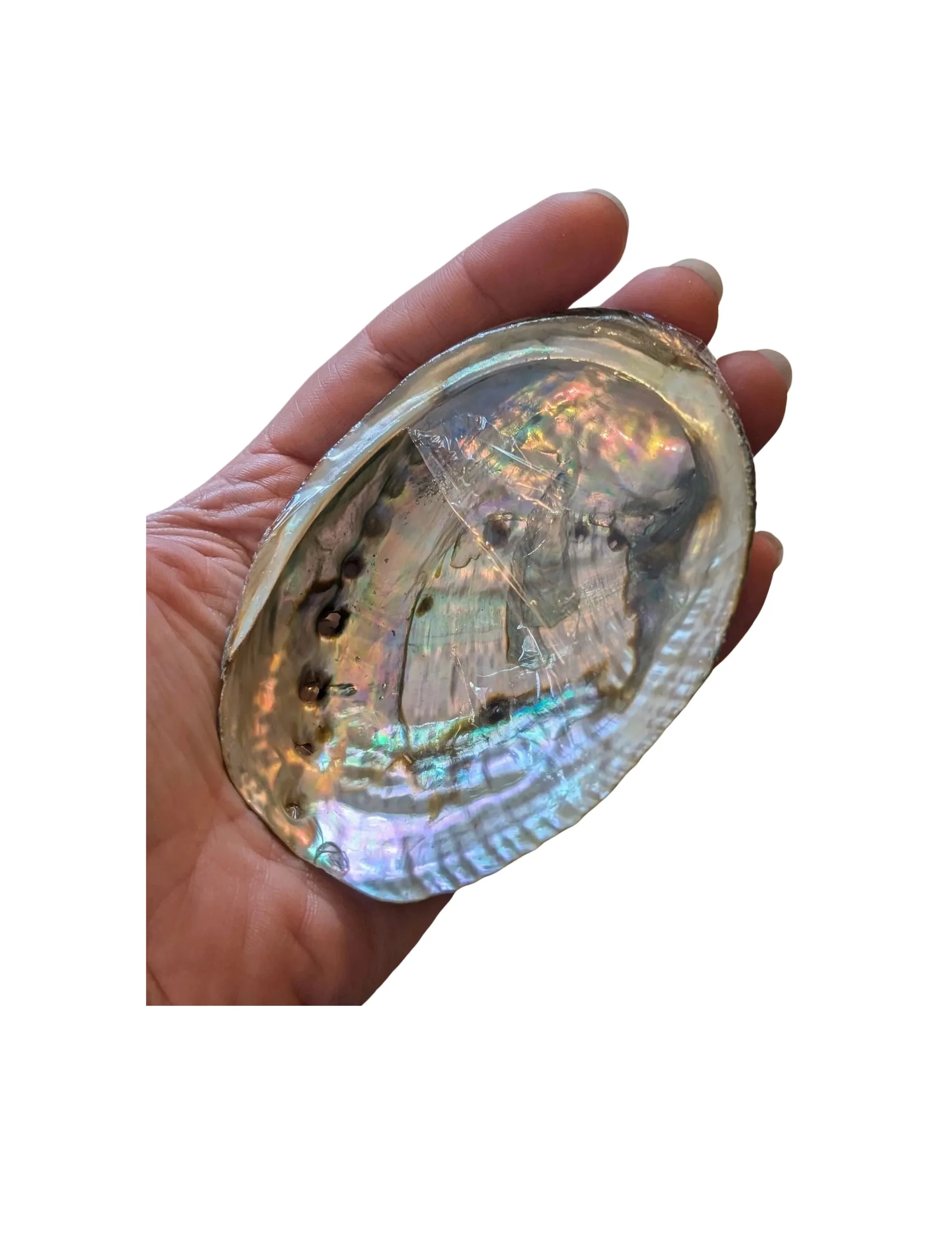 Studio-Project - 2026-01-08T150848.342.jpg