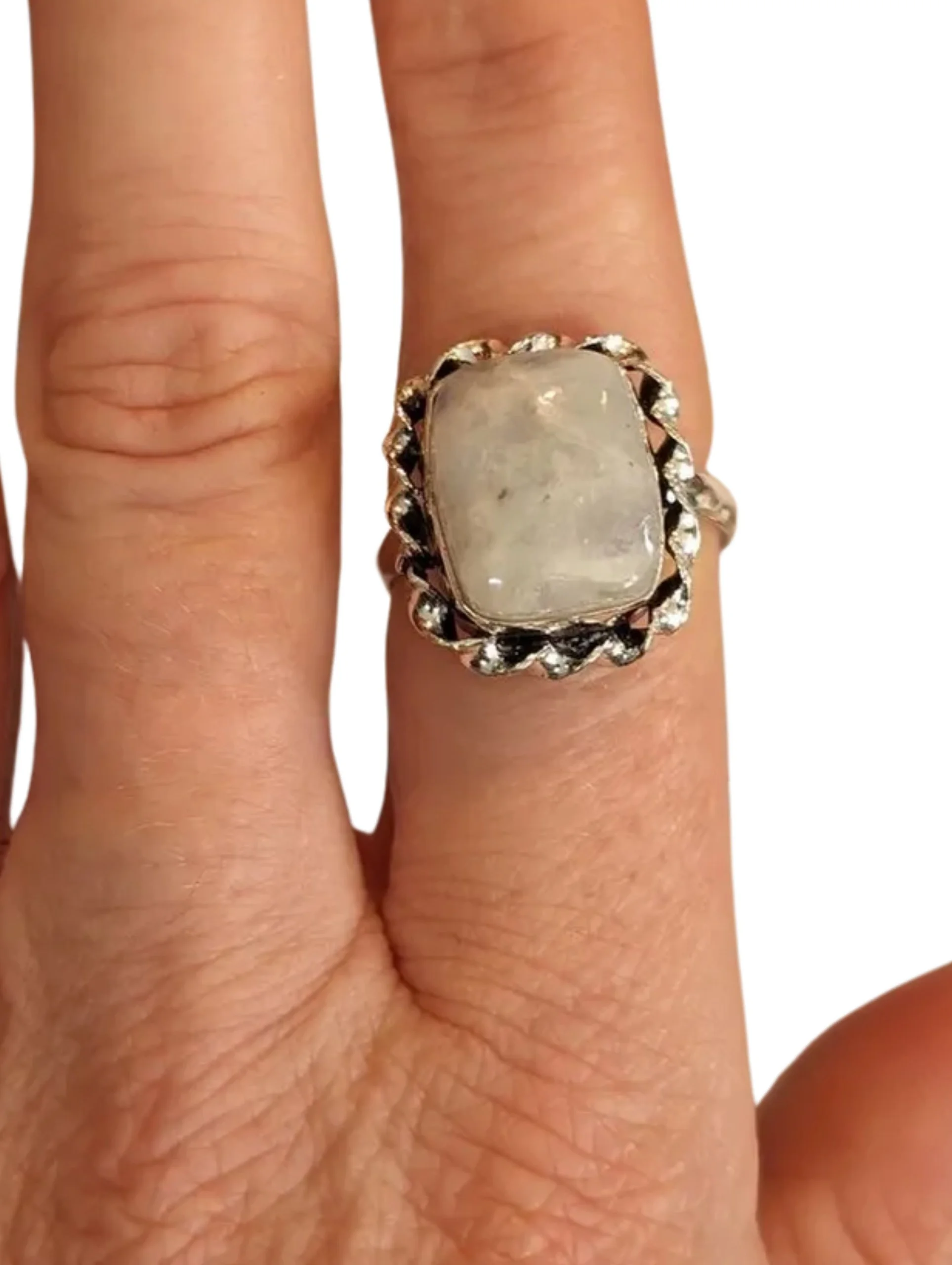 Studio-Project - 2026-02-01T162854.527.jpg