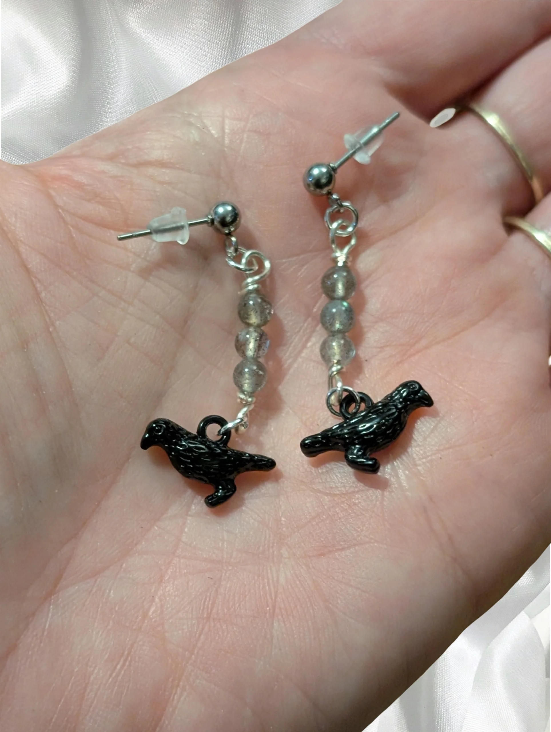 Studio-Project - 2026-02-21T100316.295.jpg