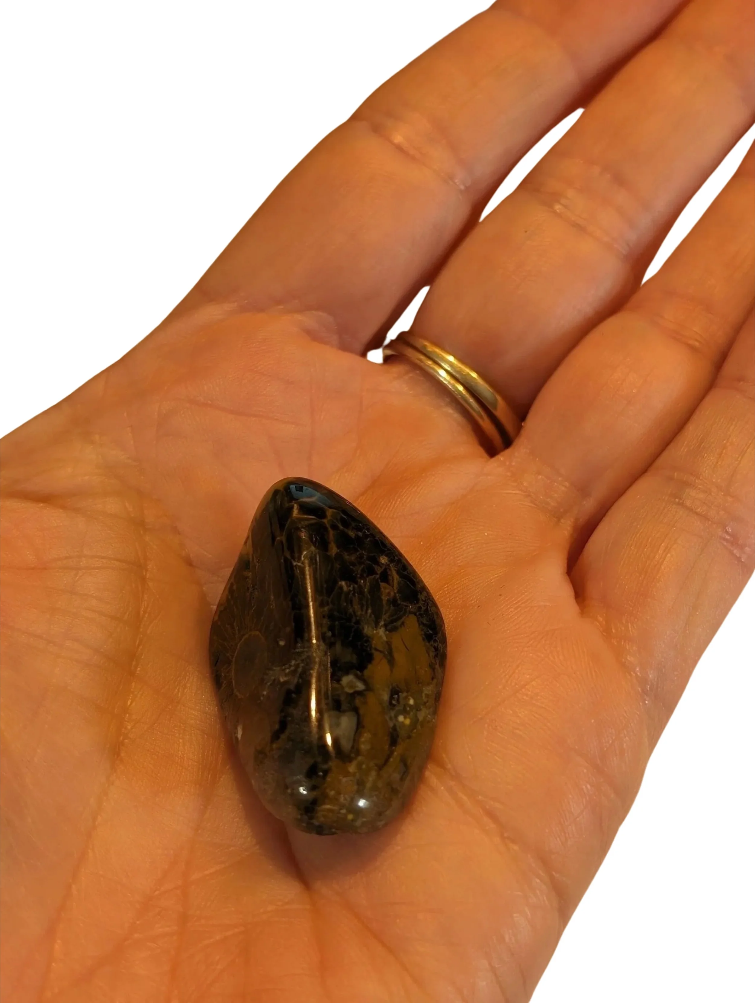 Studio-Project - 2026-01-05T150653.989.jpg