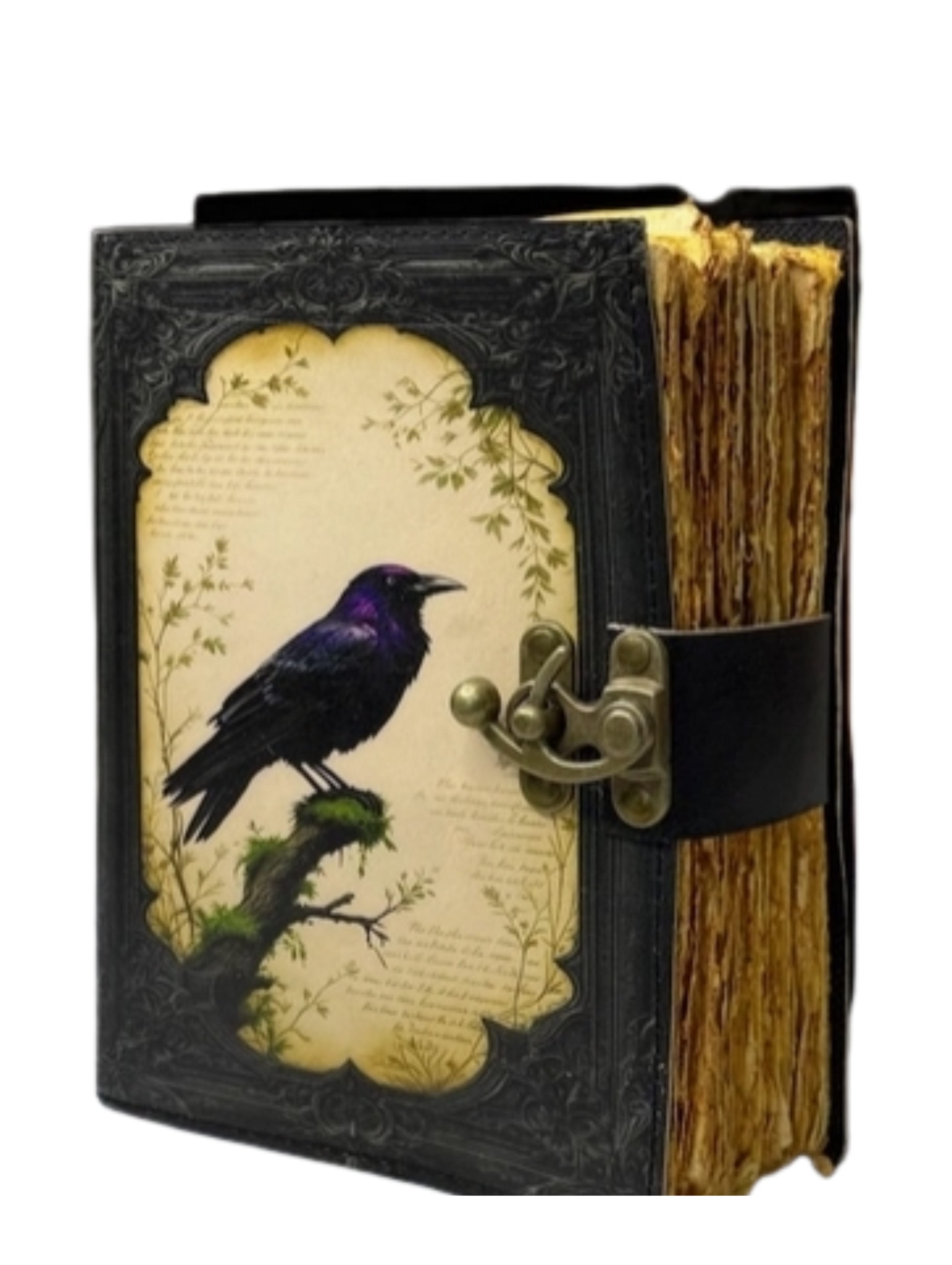 Untitled design (21).png
