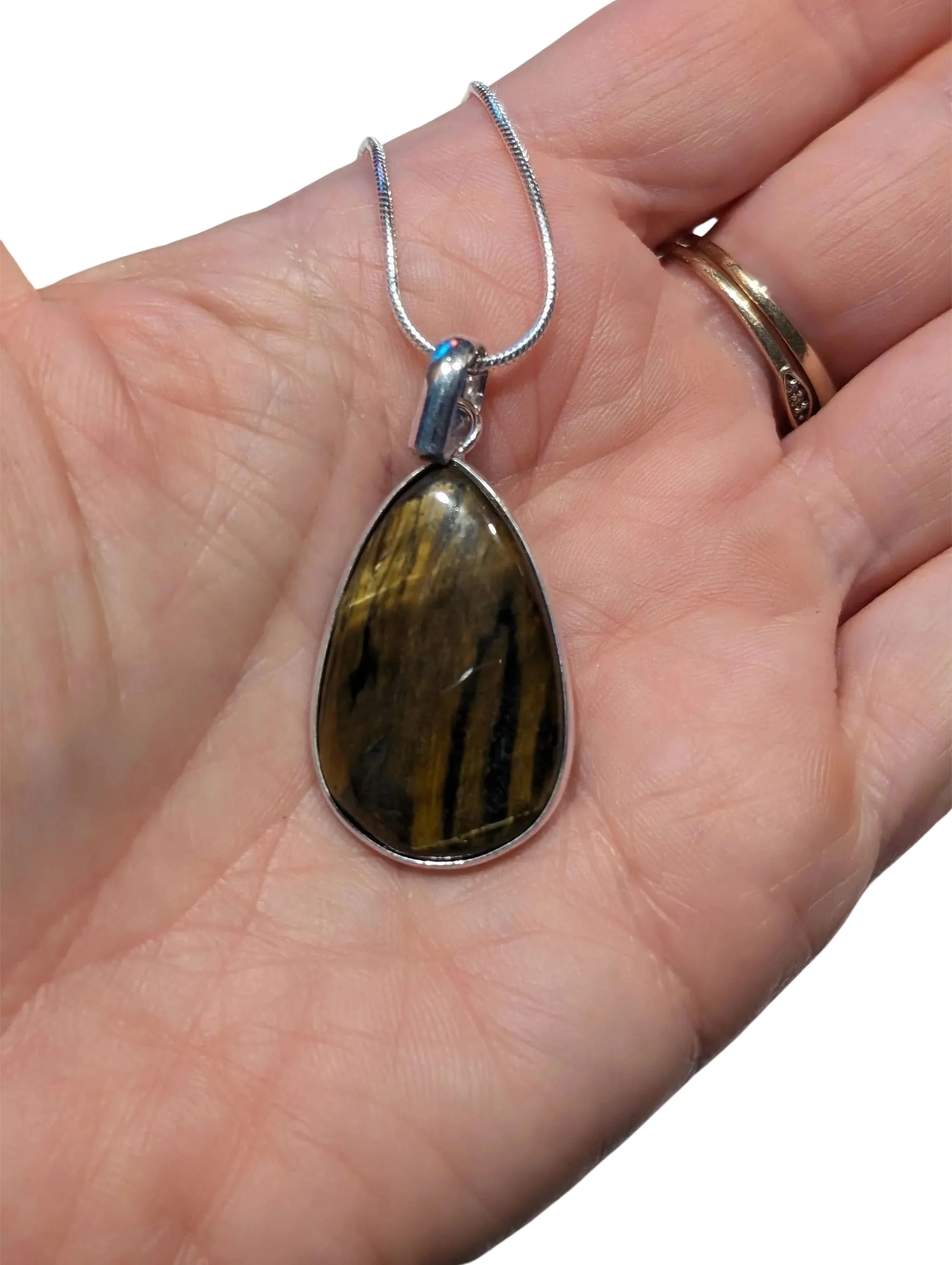 Studio-Project - 2026-01-20T114533.222.jpg