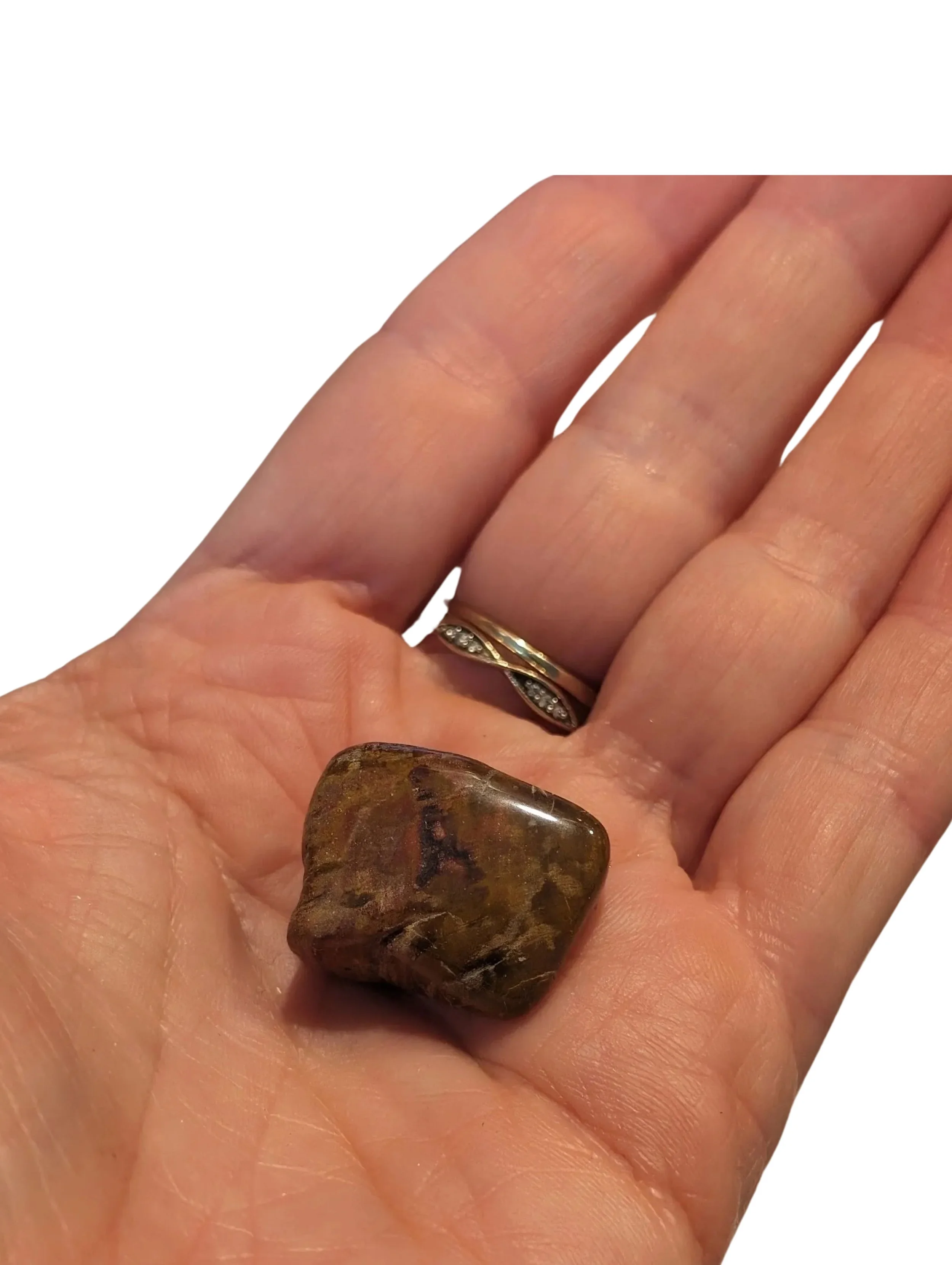 Studio-Project - 2025-12-10T112905.328.jpg