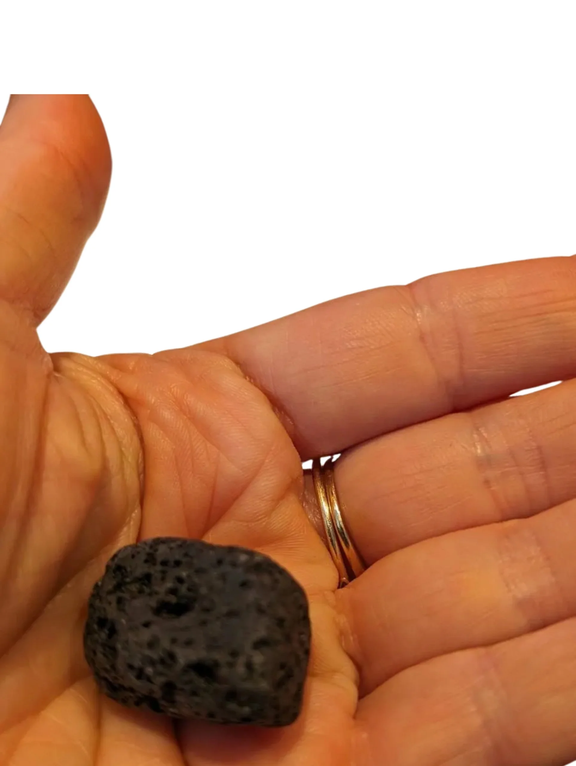 Studio-Project - 2026-01-05T170617.809.jpg