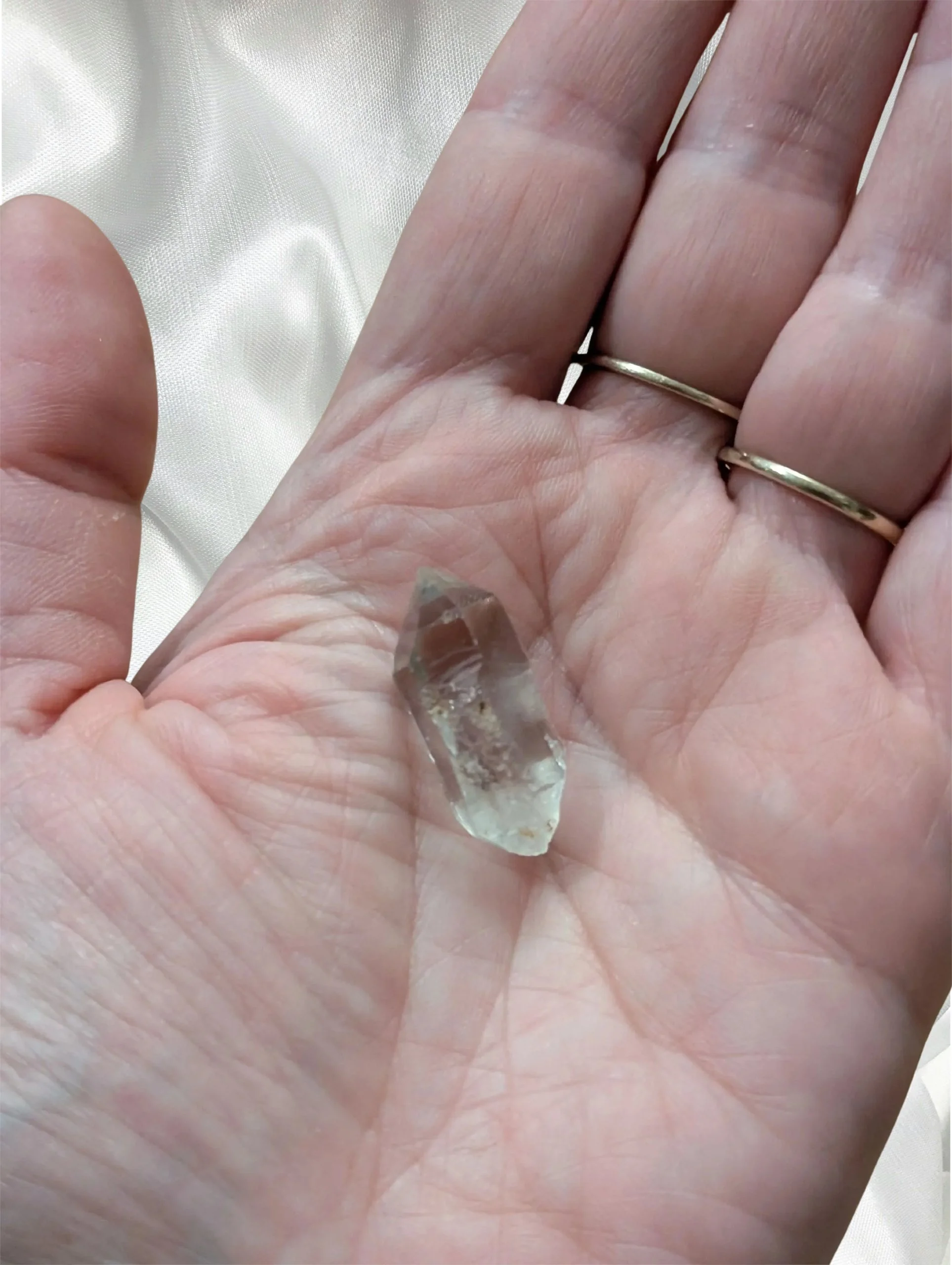 Studio-Project - 2026-02-18T143331.010.jpg