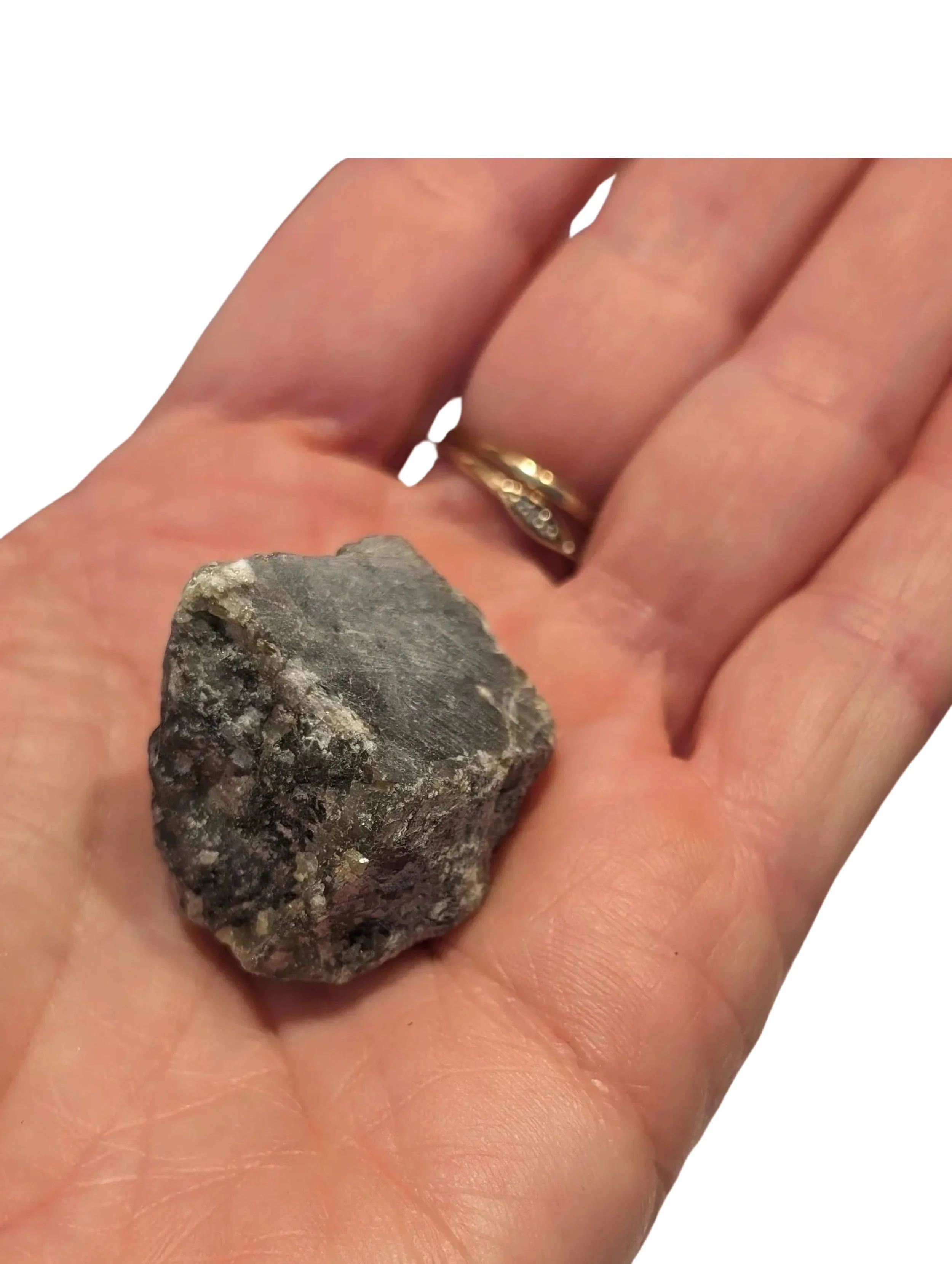 Studio-Project - 2025-12-07T131411.278.jpg