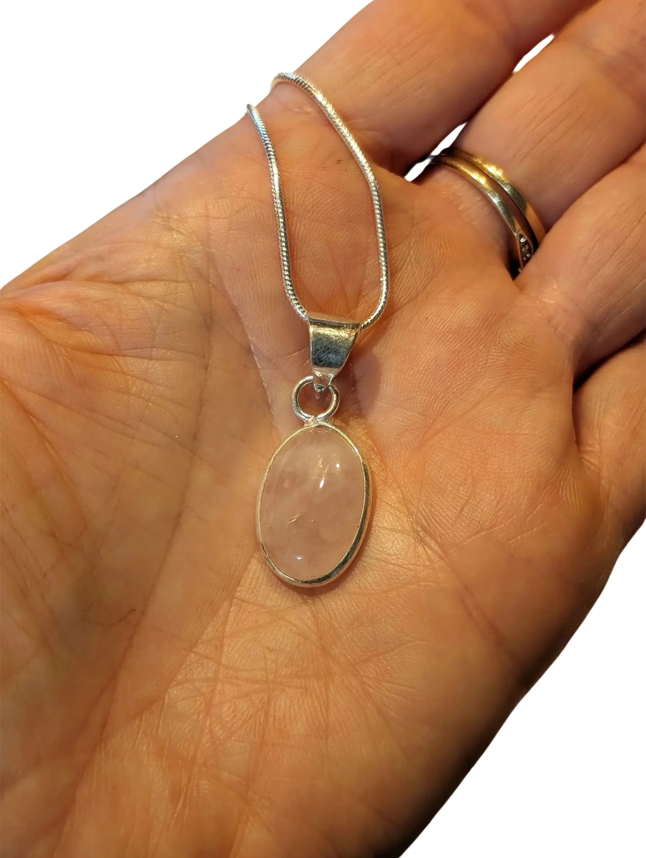 Studio-Project - 2026-01-20T123744.305.jpg