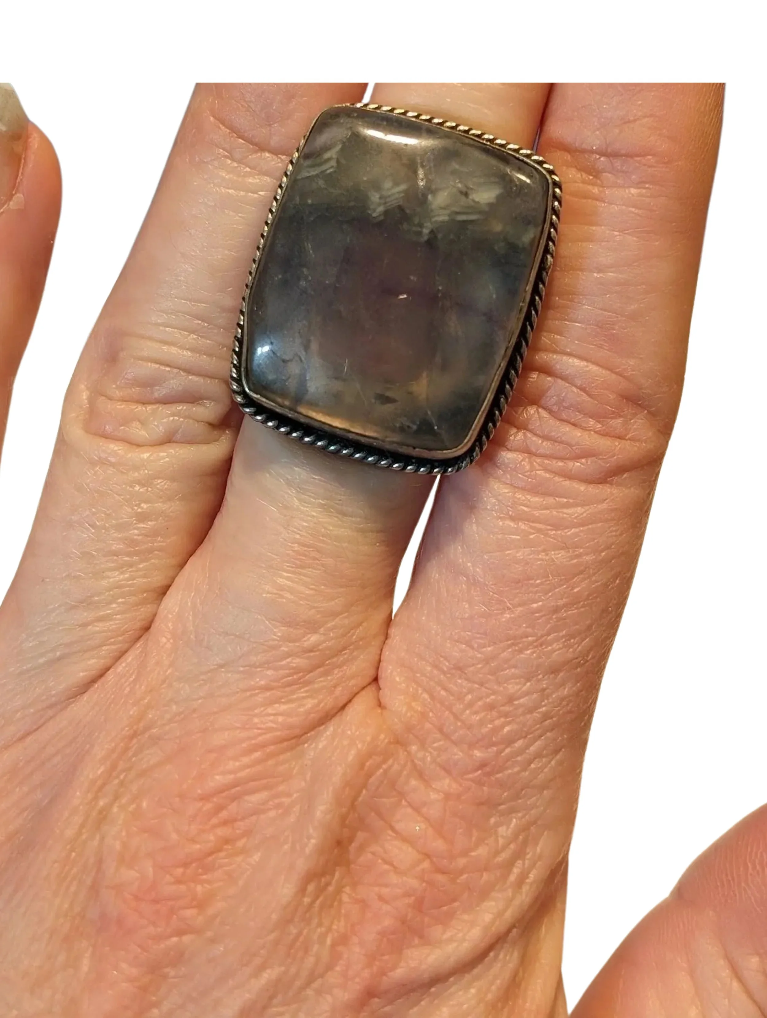 Studio-Project - 2026-02-01T134944.803.jpg