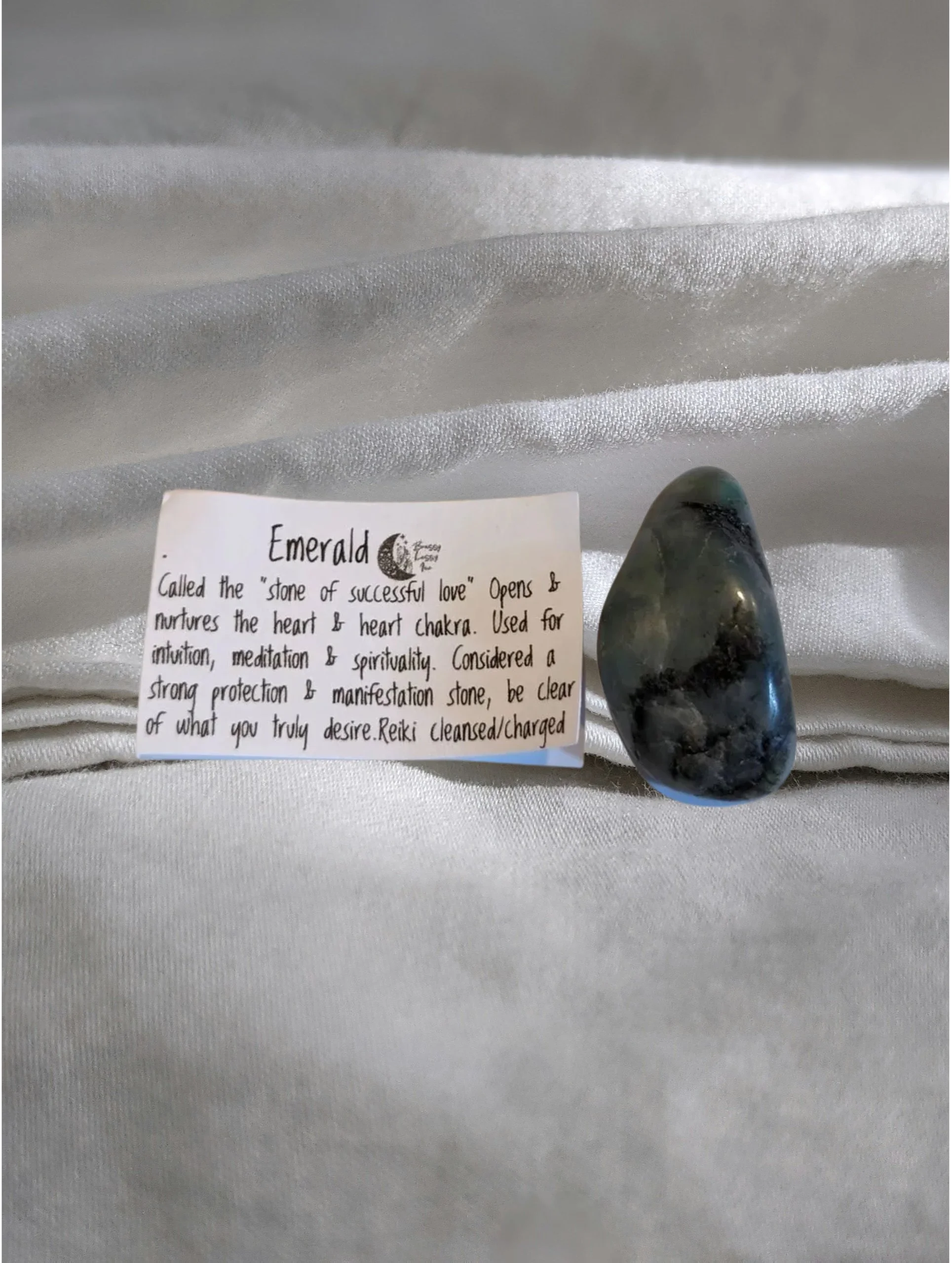 Studio-Project - 2026-01-05T153544.839.jpg