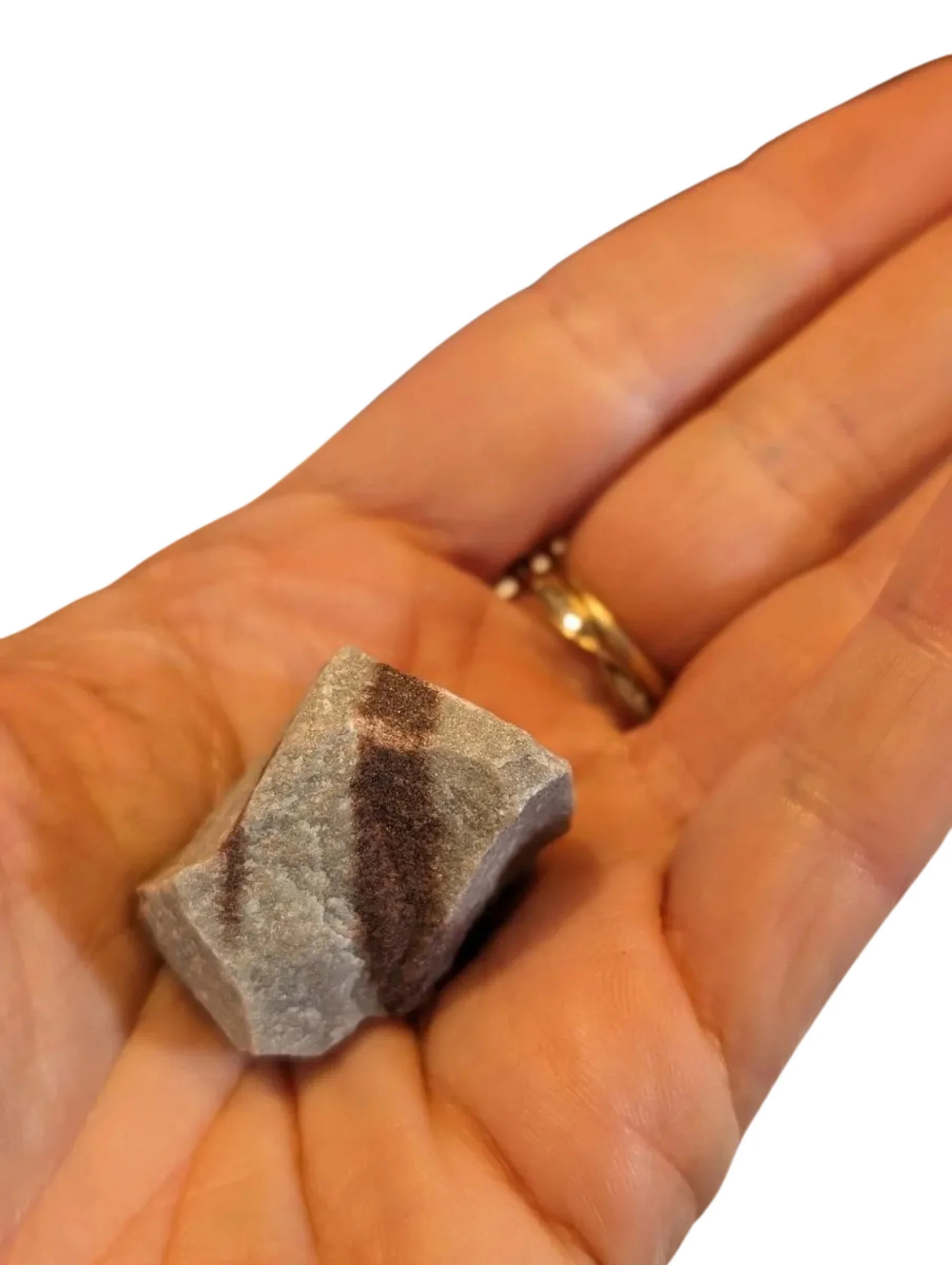 Studio-Project - 2025-12-10T104400.010.jpg