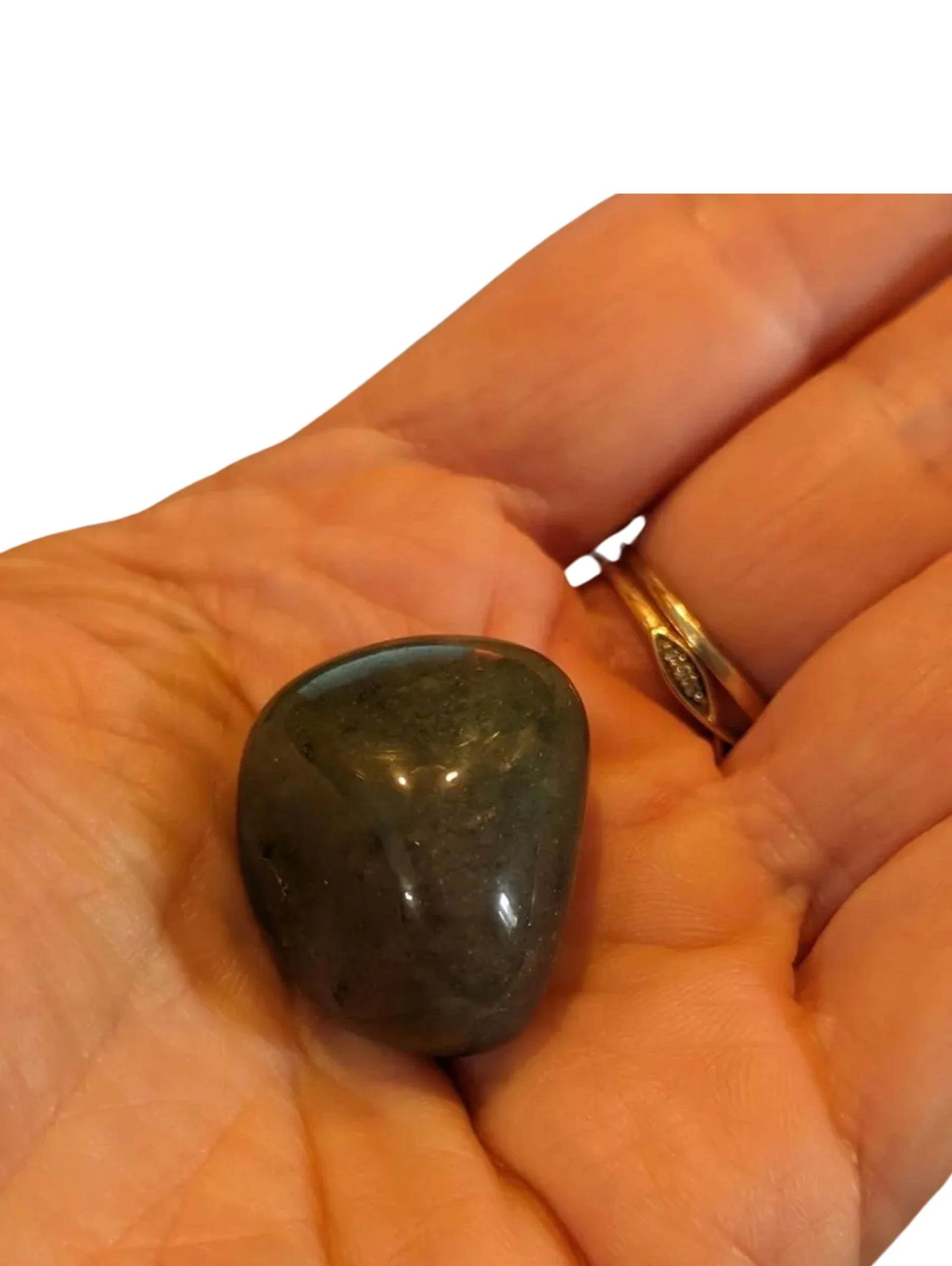 Studio-Project - 2025-12-10T113502.004.jpg