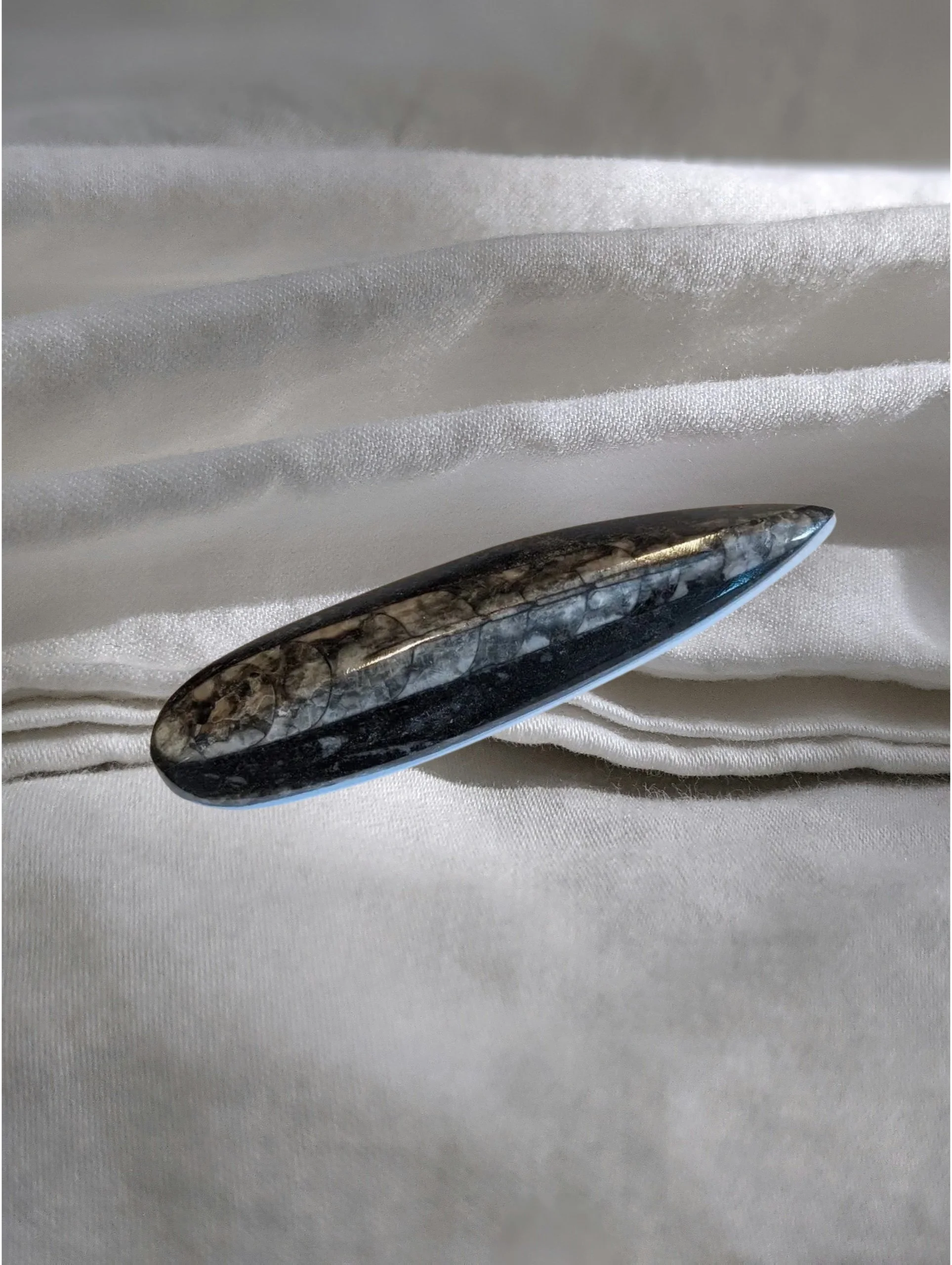 Studio-Project - 2026-01-06T084130.264.jpg