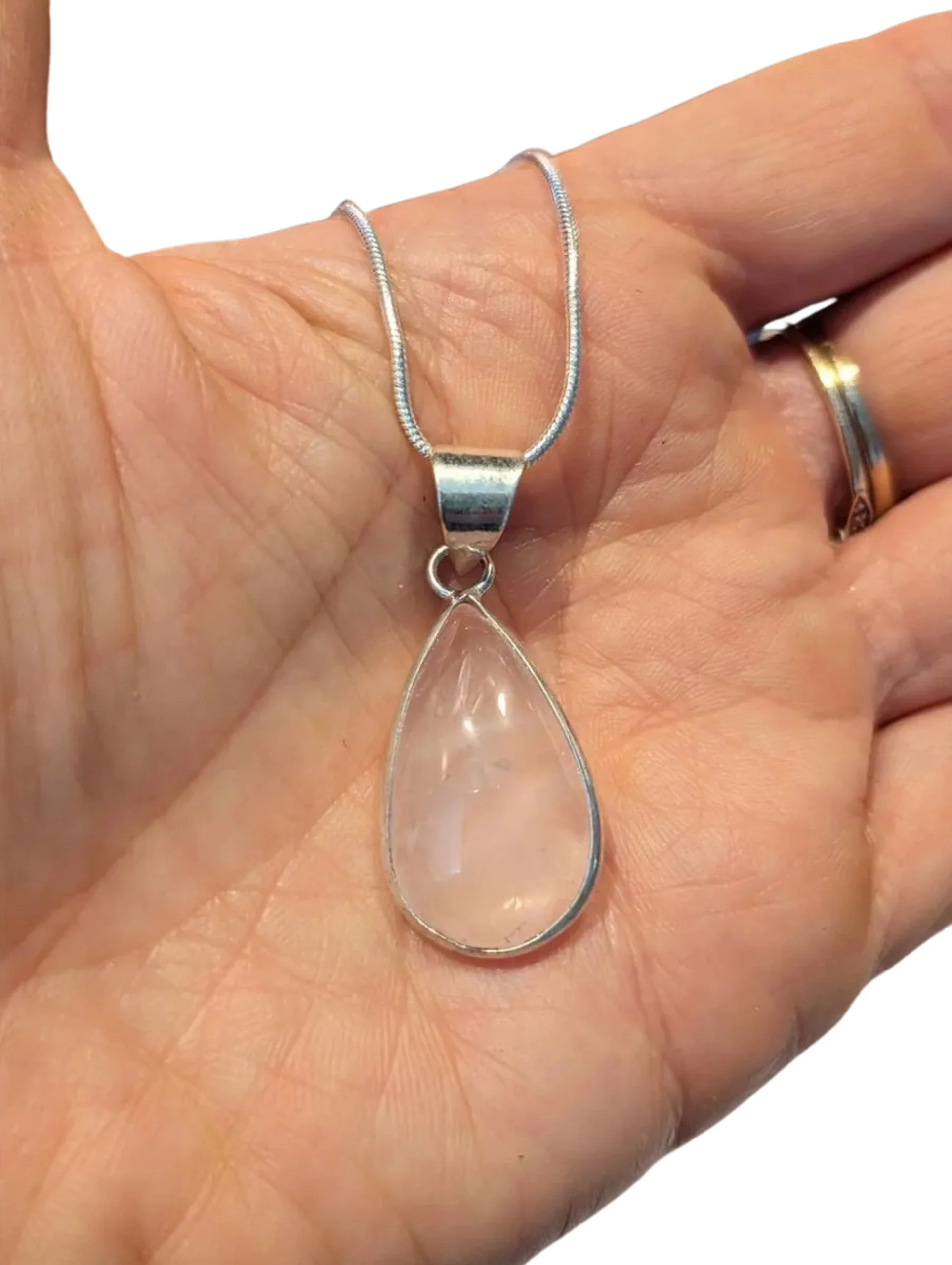 Studio-Project - 2026-01-20T143433.372.jpg