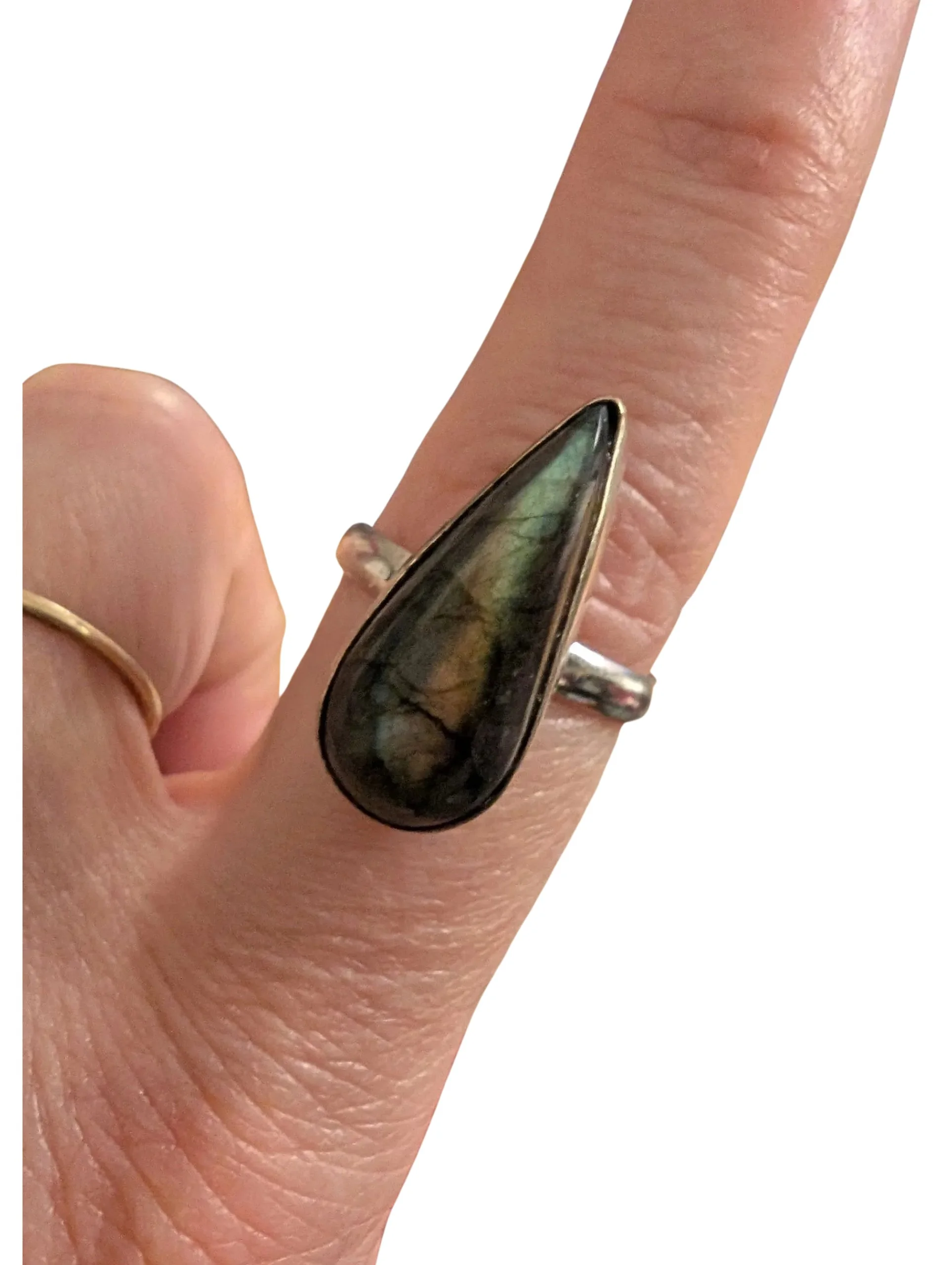 Studio-Project - 2026-02-01T062655.326.jpg