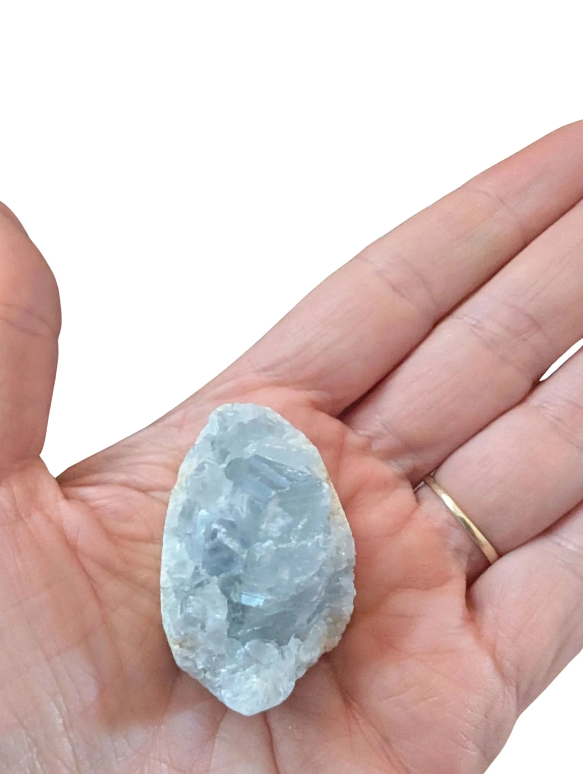 Studio-Project - 2026-01-05T172454.449.jpg