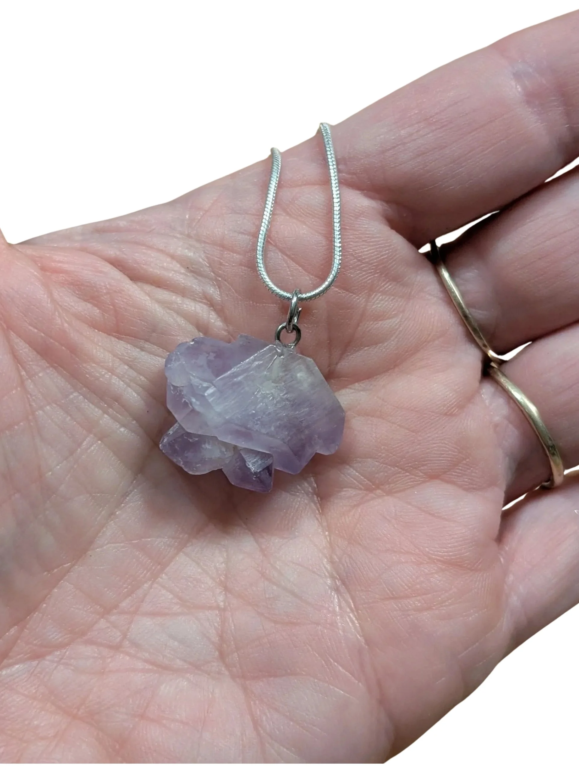 Studio-Project - 2026-01-12T114639.824.jpg