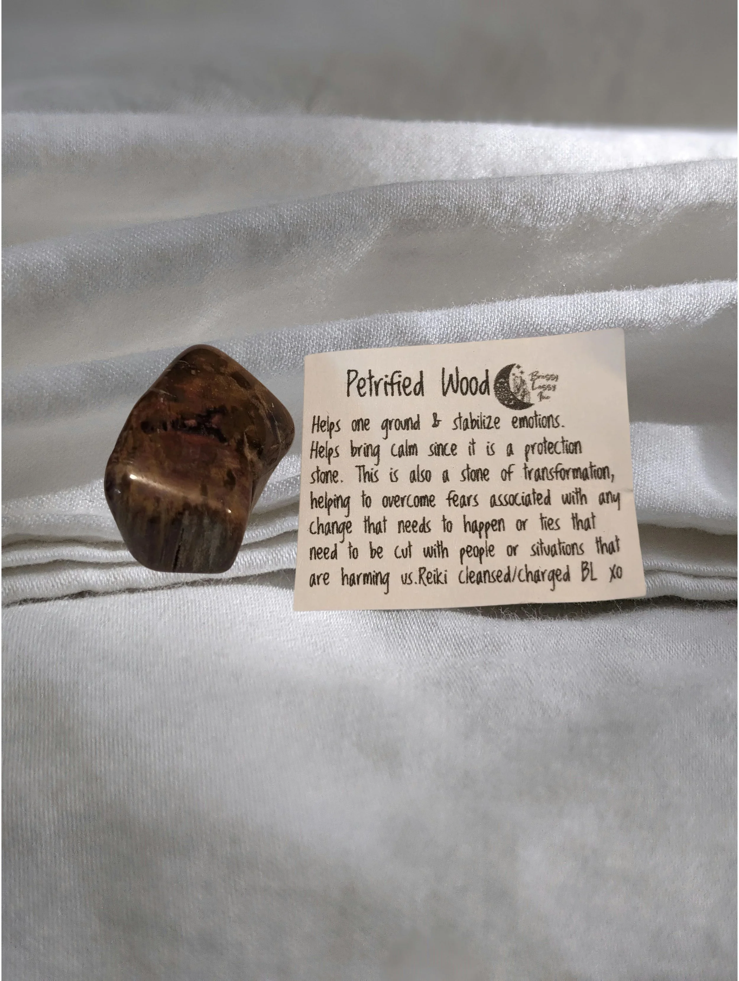 Petrified Wood. Stability • Transformation• Calm
