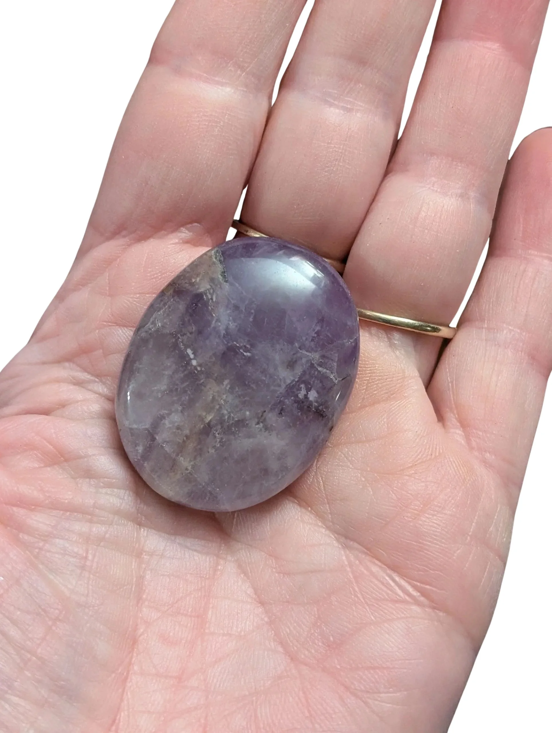 Studio-Project - 2026-01-13T070844.324.jpg