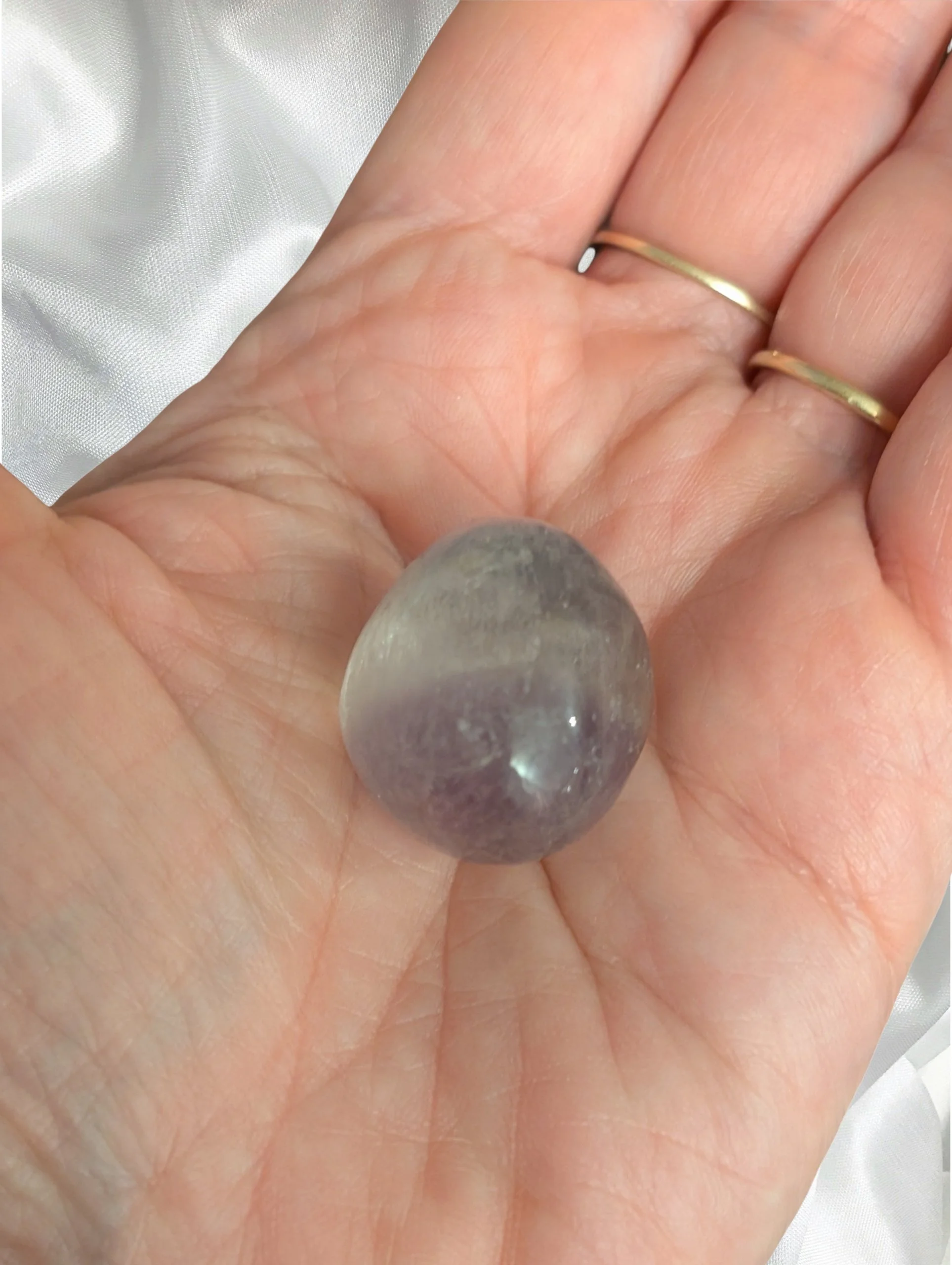 Studio-Project - 2026-02-13T151310.233.jpg