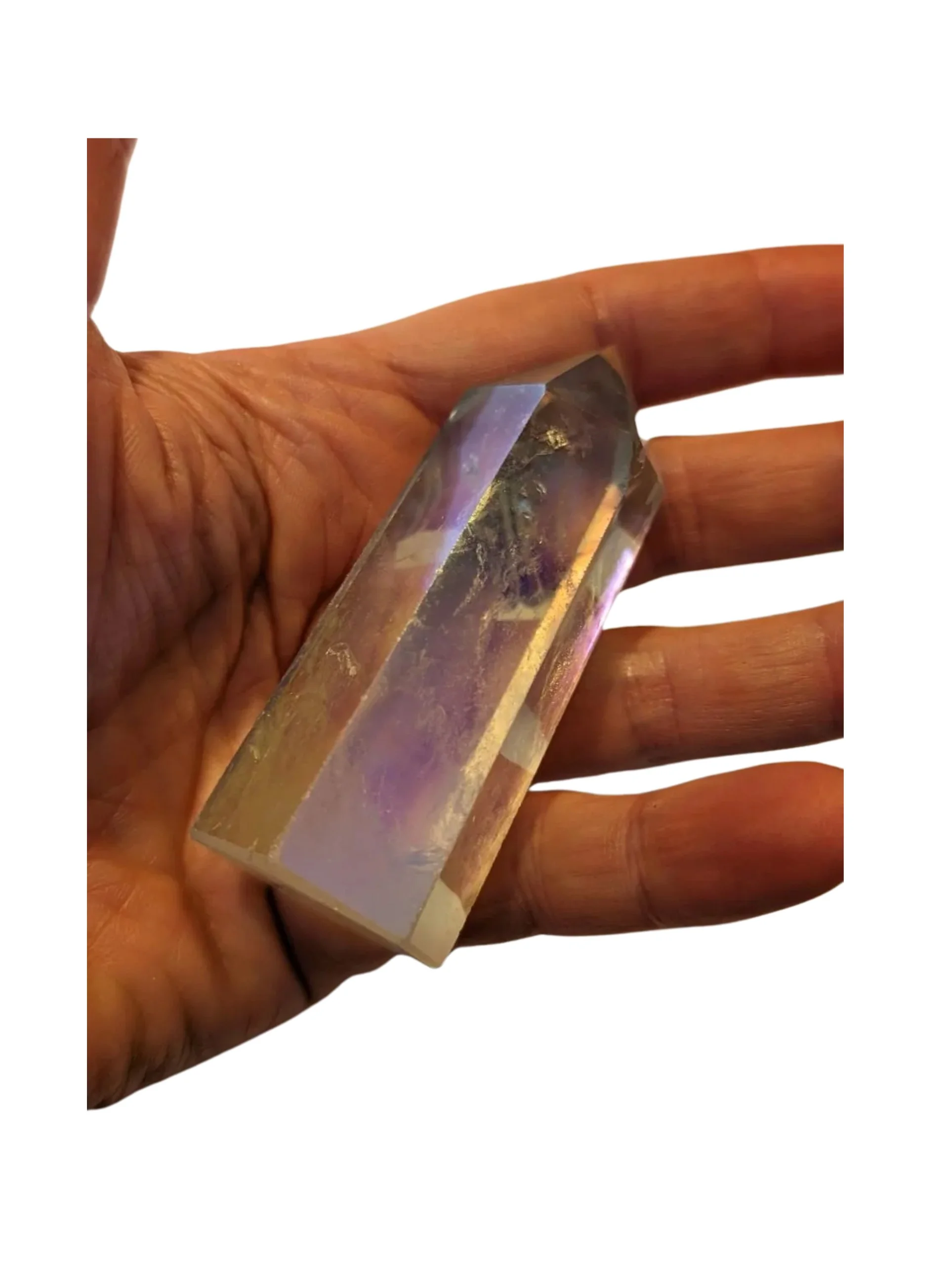 Studio-Project - 2026-01-06T095317.880.jpg