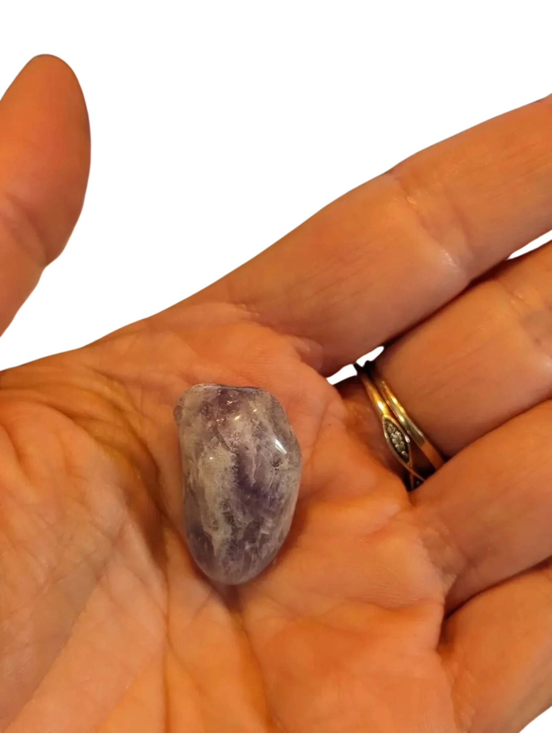 Studio-Project - 2026-01-05T162101.364.jpg