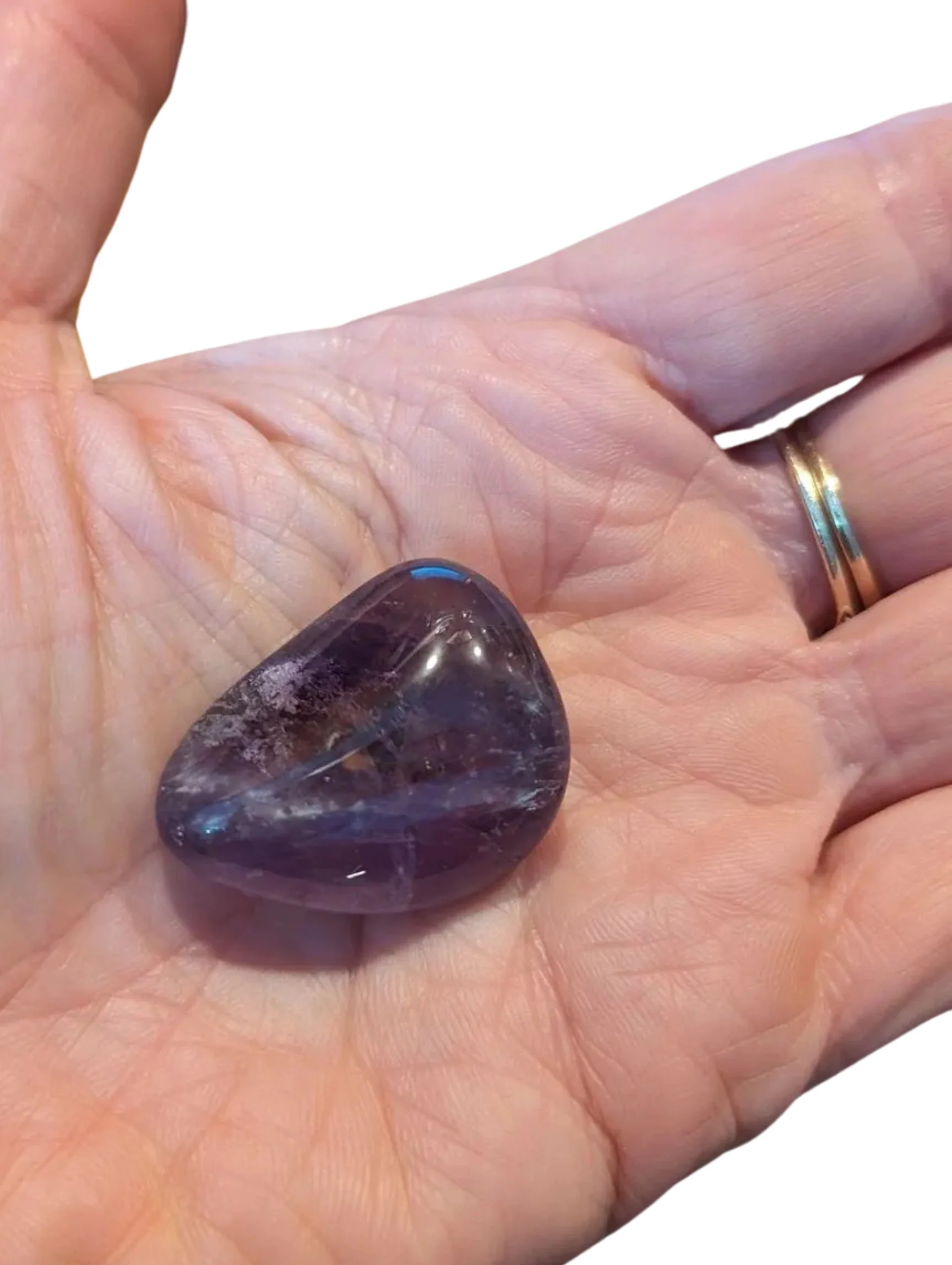 Studio-Project - 2026-01-05T165719.821.jpg