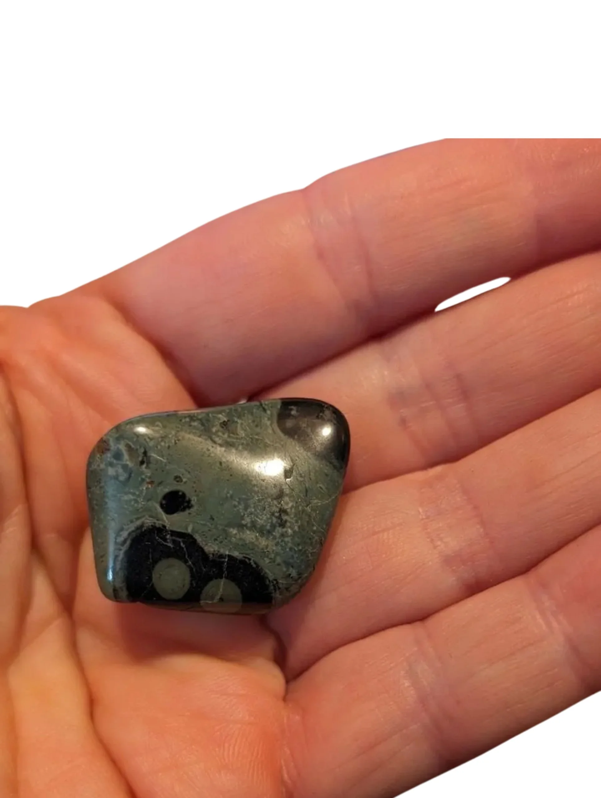 Studio-Project - 2026-01-05T170928.136.jpg