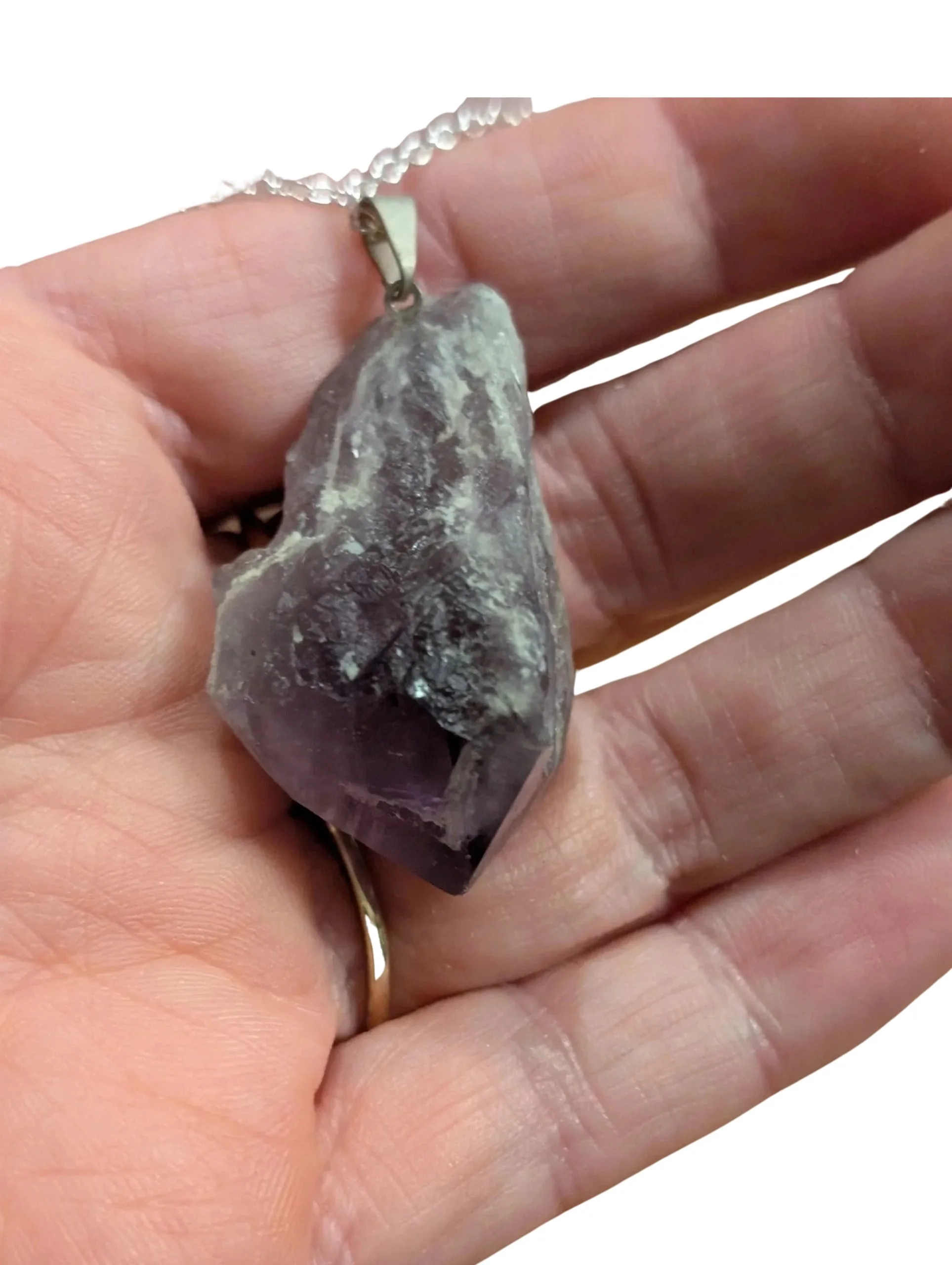 Studio-Project - 2026-01-12T113220.246.jpg