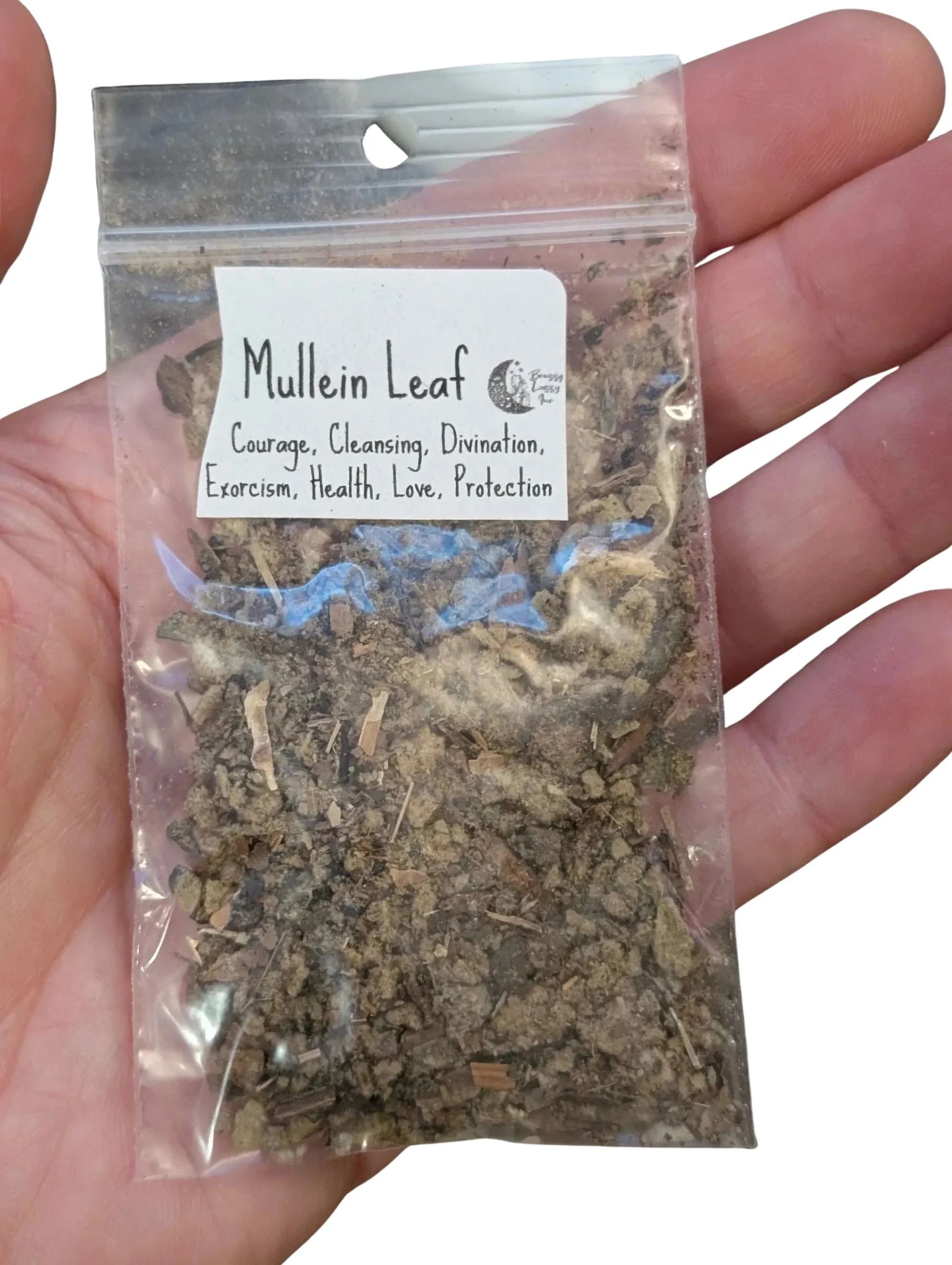 Studio-Project - 2026-01-09T054722.248.jpg