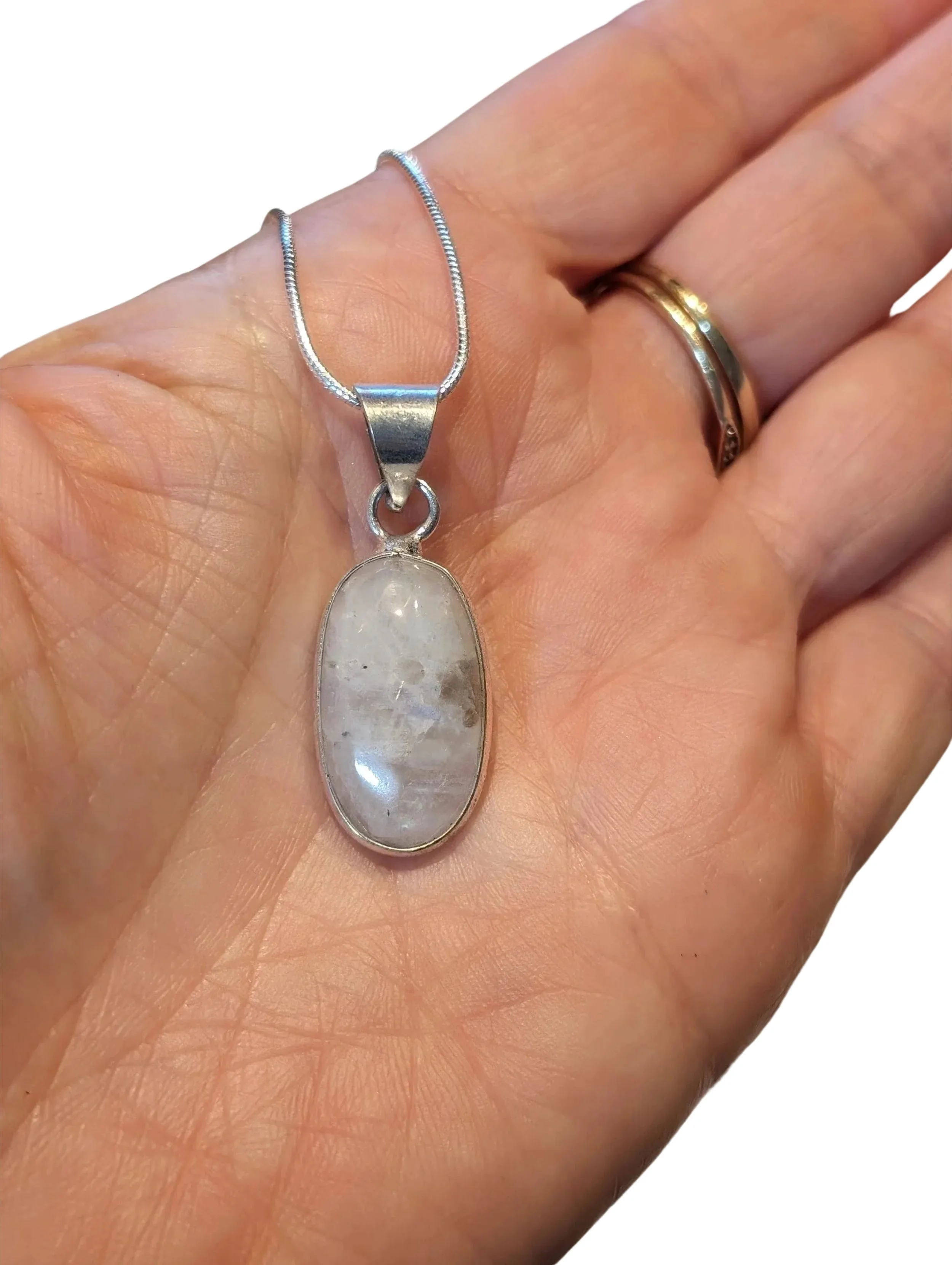 Studio-Project - 2026-01-06T153049.640.jpg