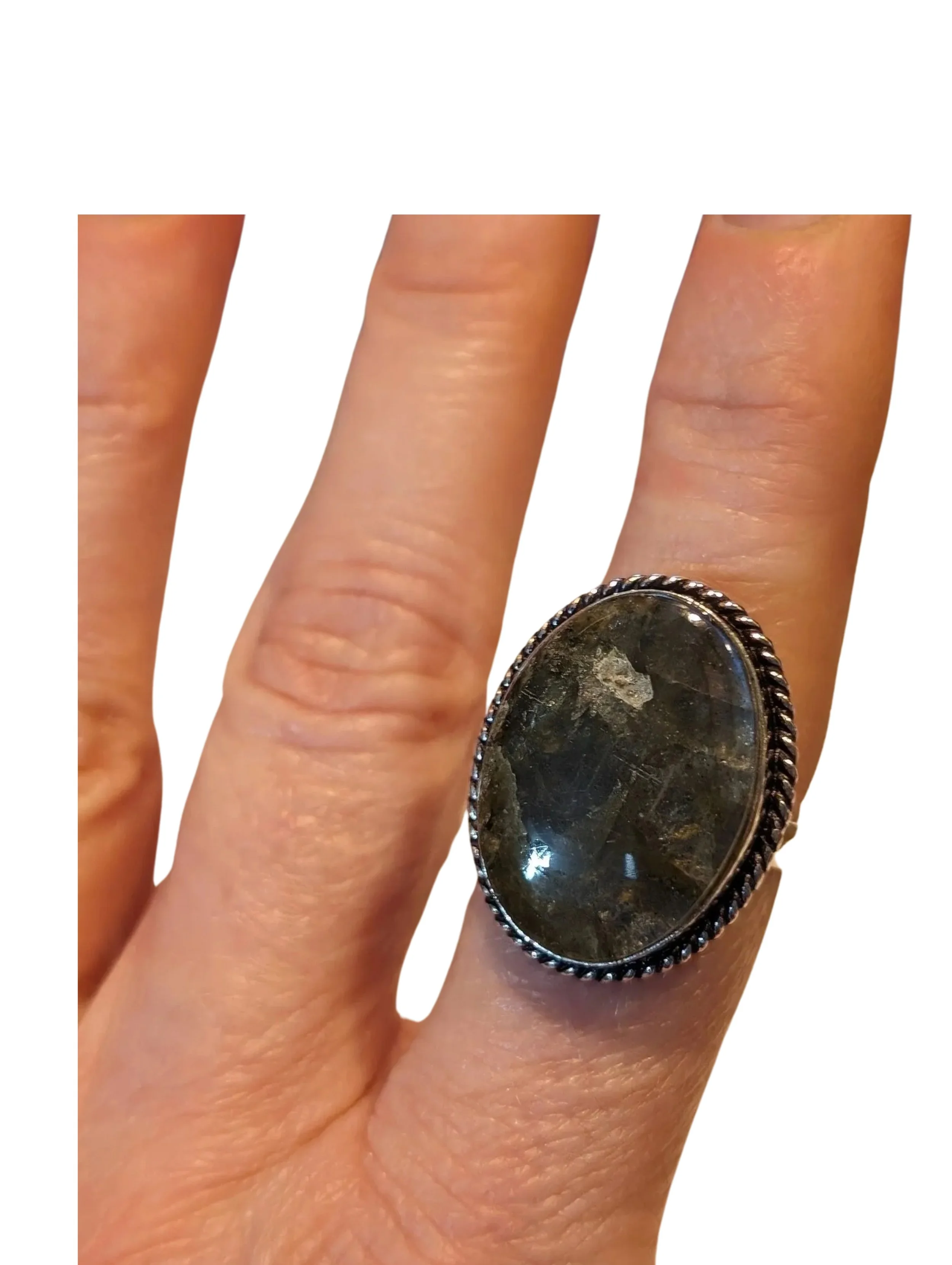 Studio-Project - 2026-02-01T054623.666.jpg