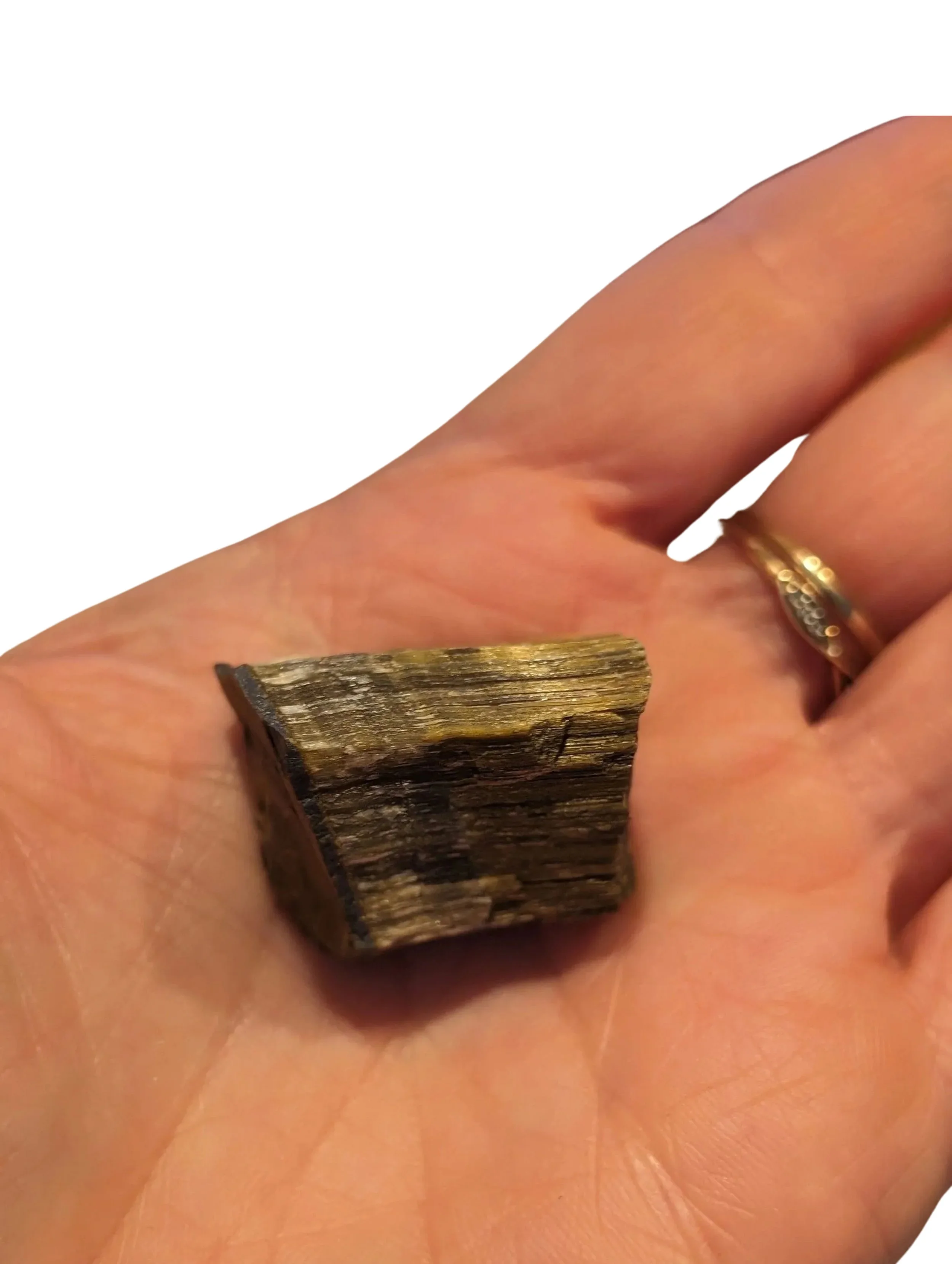 Studio-Project - 2025-12-10T105411.295.jpg