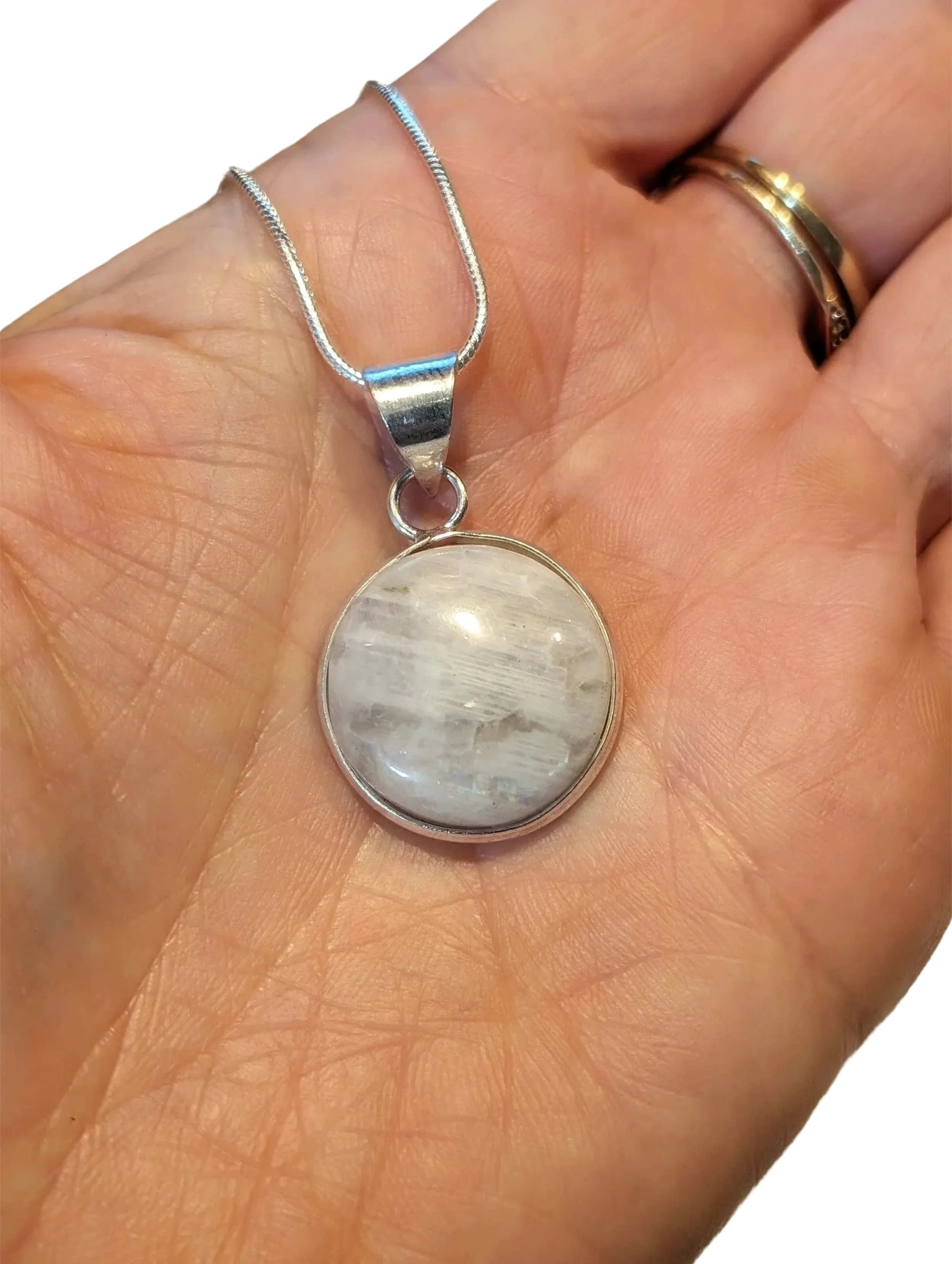 Studio-Project - 2026-01-06T161027.569.jpg