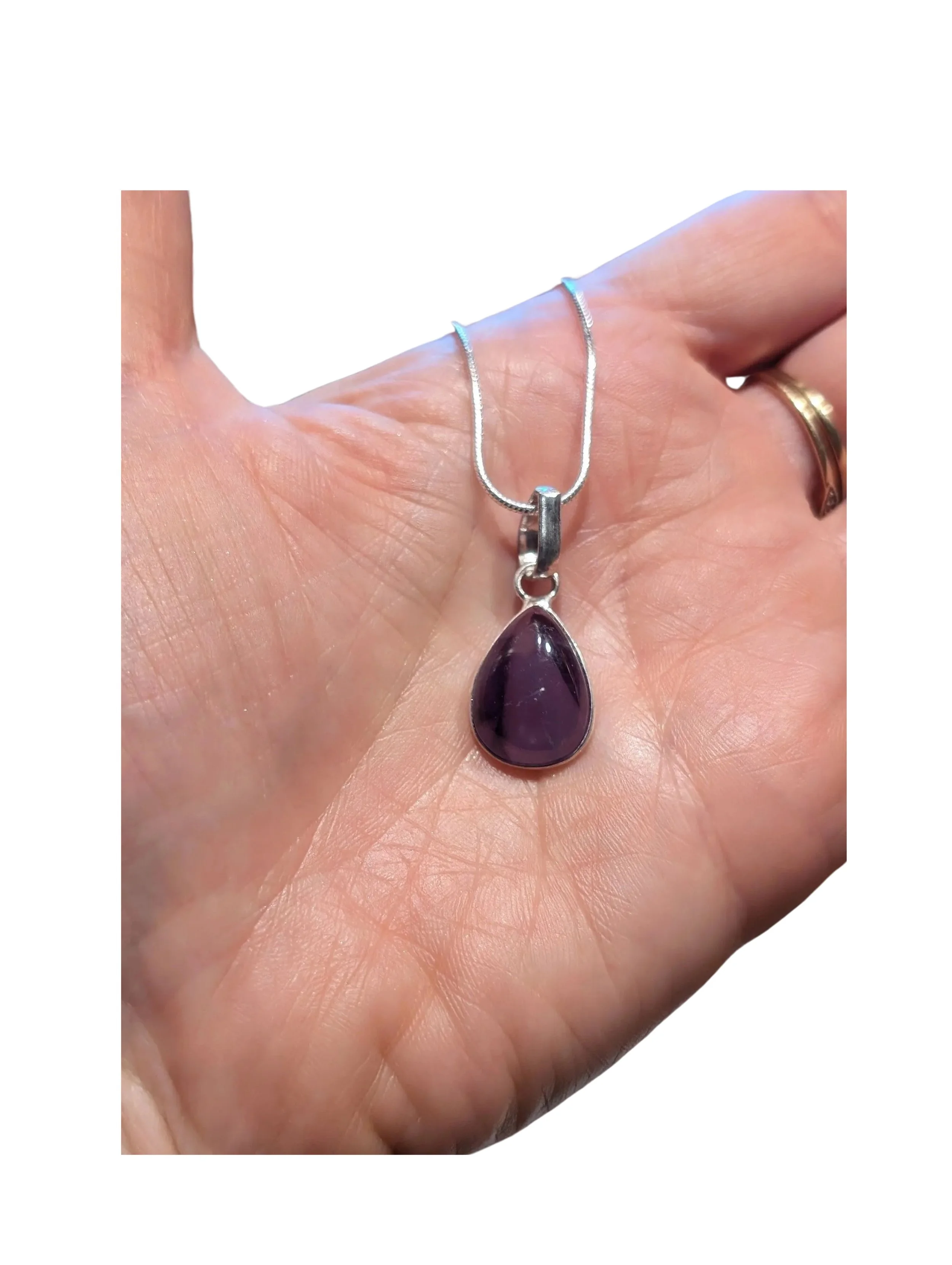 Studio-Project - 2026-01-06T150942.211.jpg