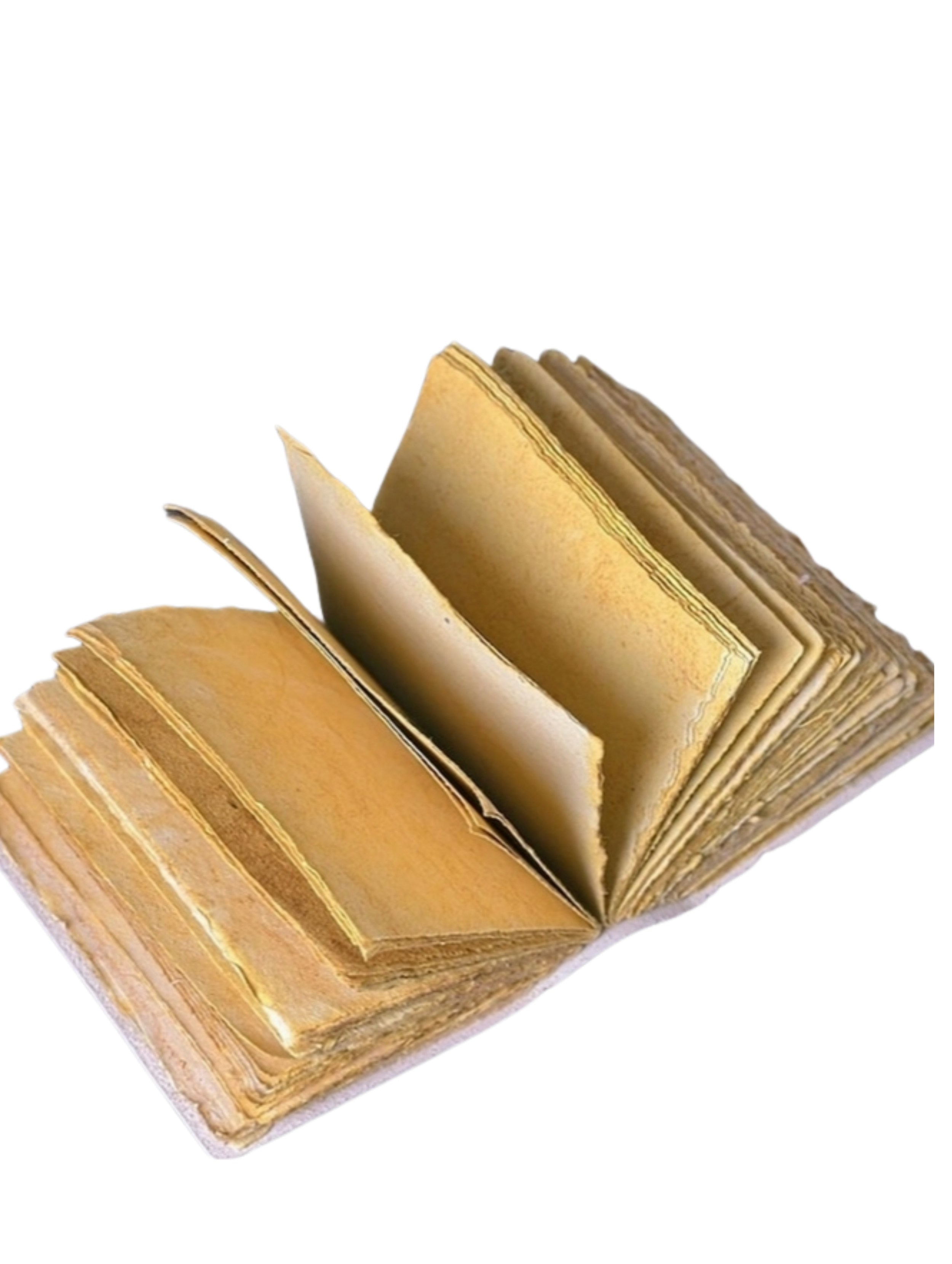 Untitled design (18).png