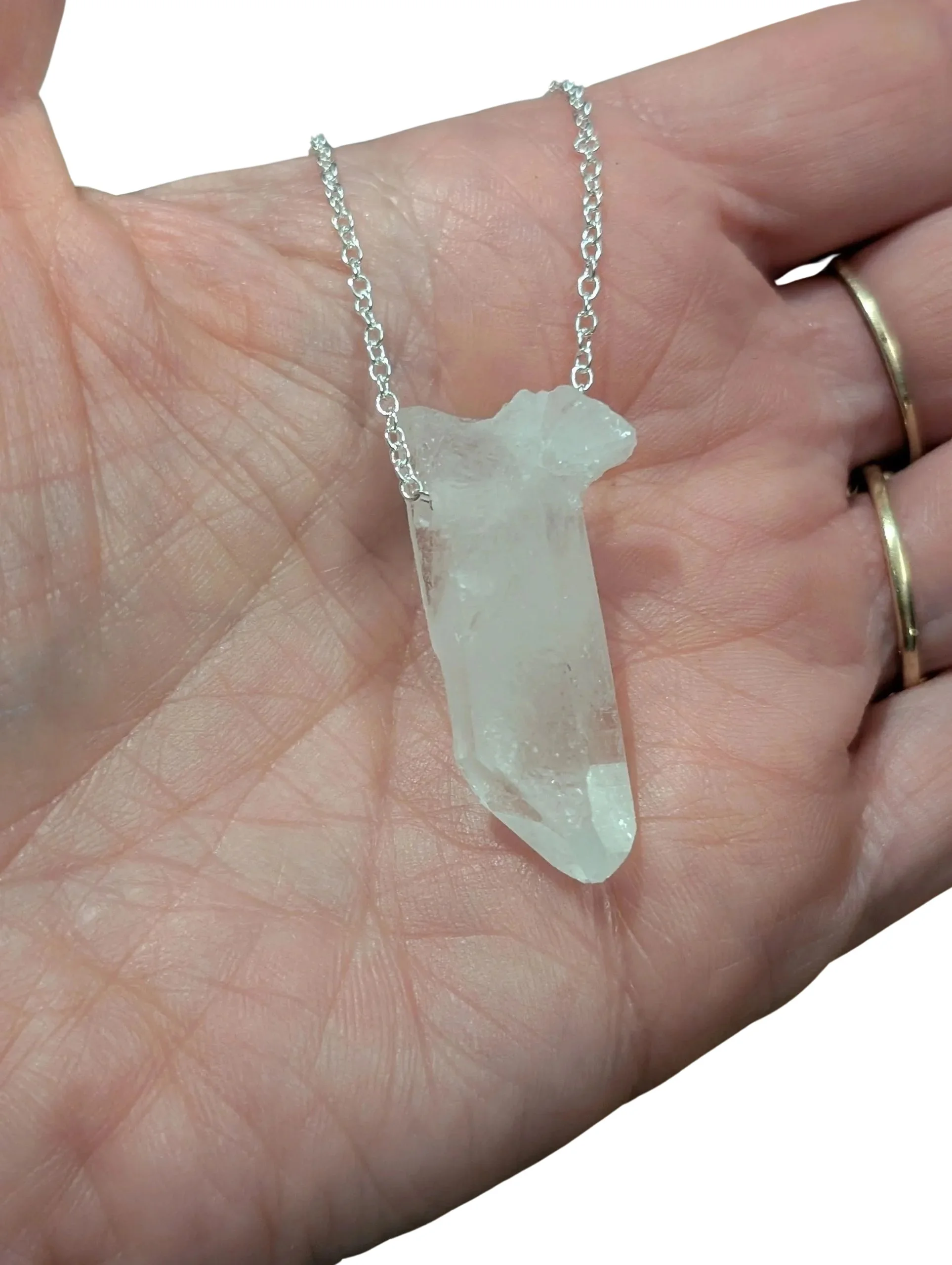 Studio-Project - 2026-01-12T122750.742.jpg