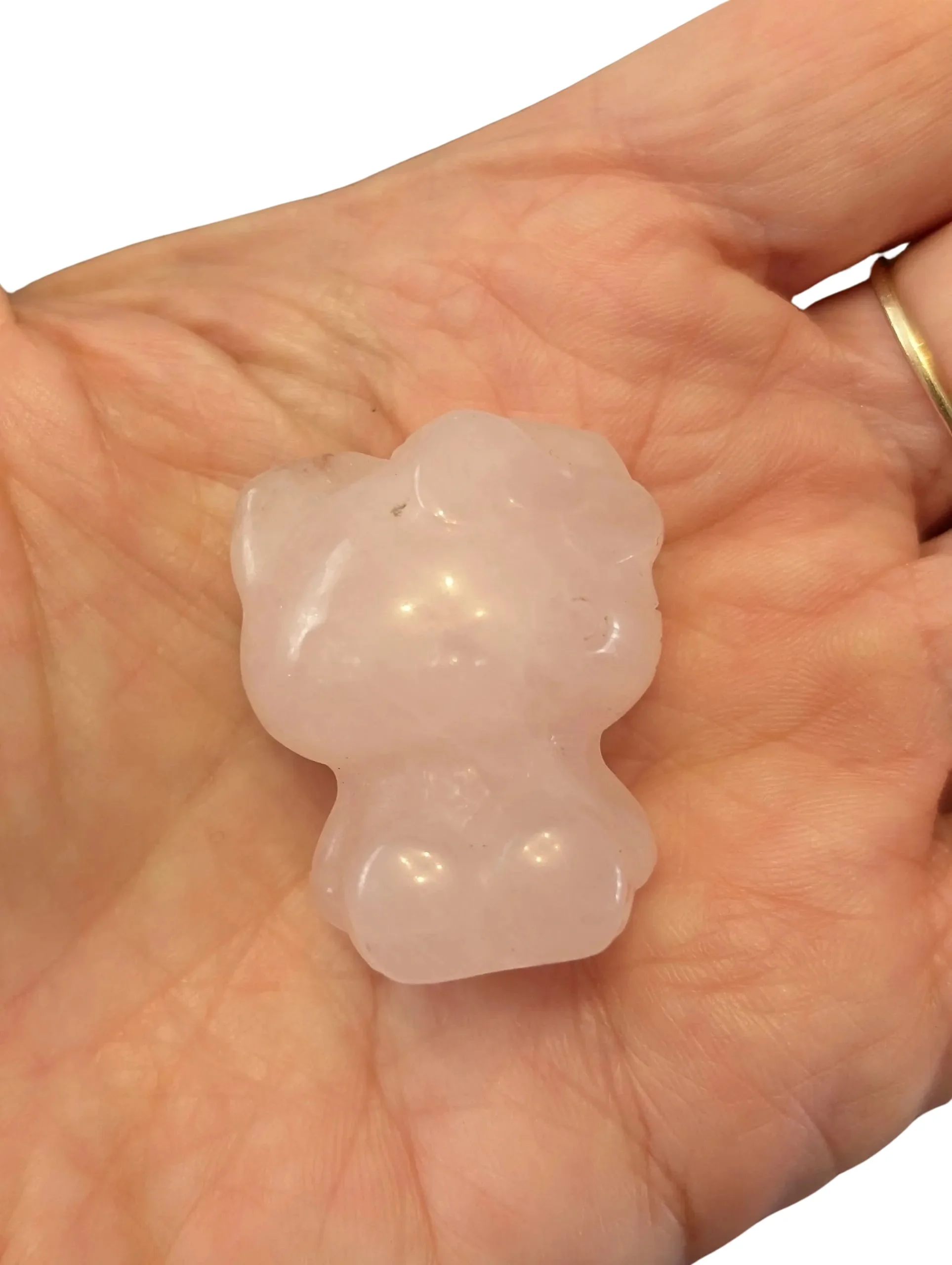 Studio-Project - 2026-02-07T143600.719.jpg