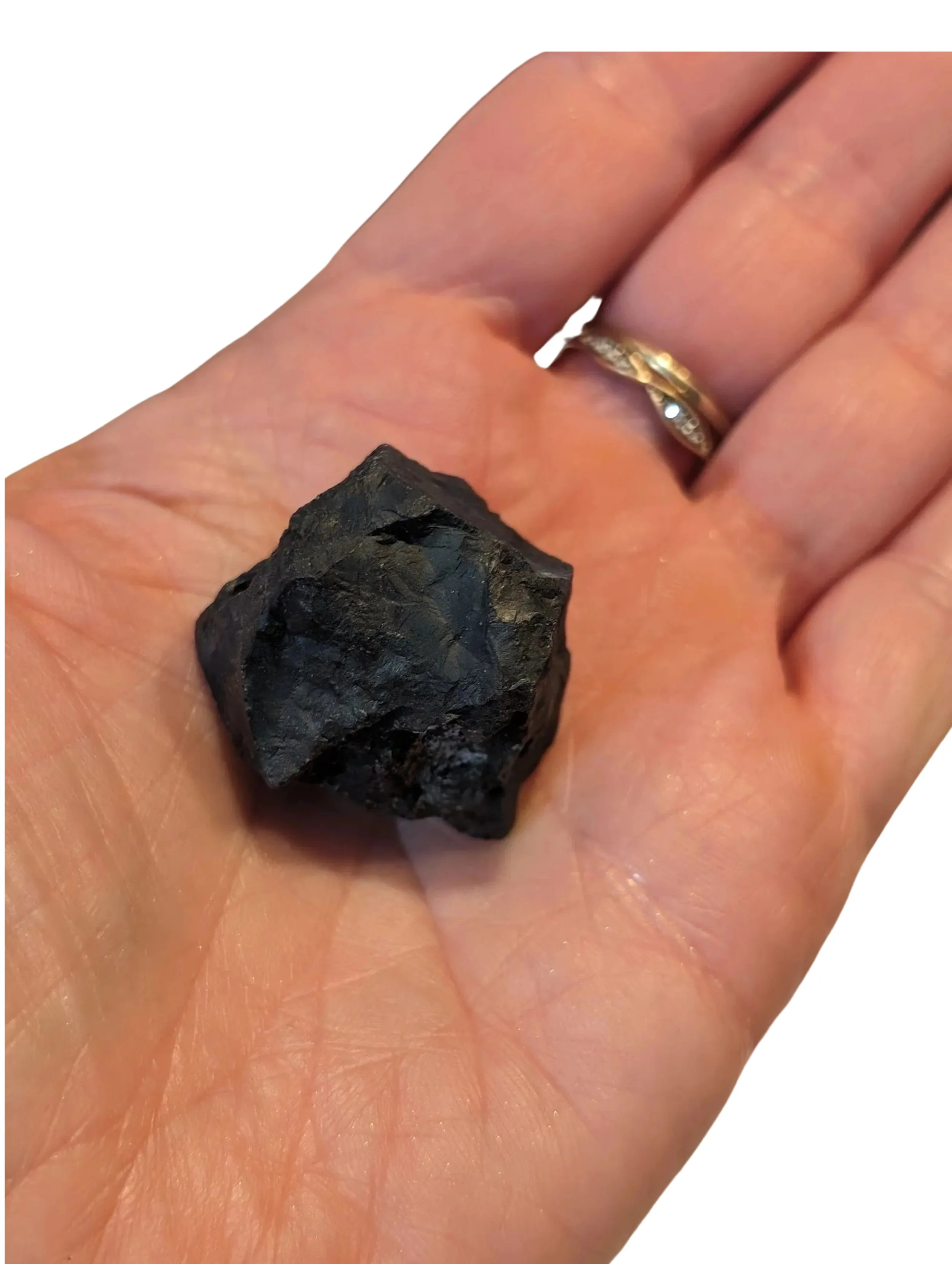 Studio-Project - 2025-12-07T121642.958.jpg