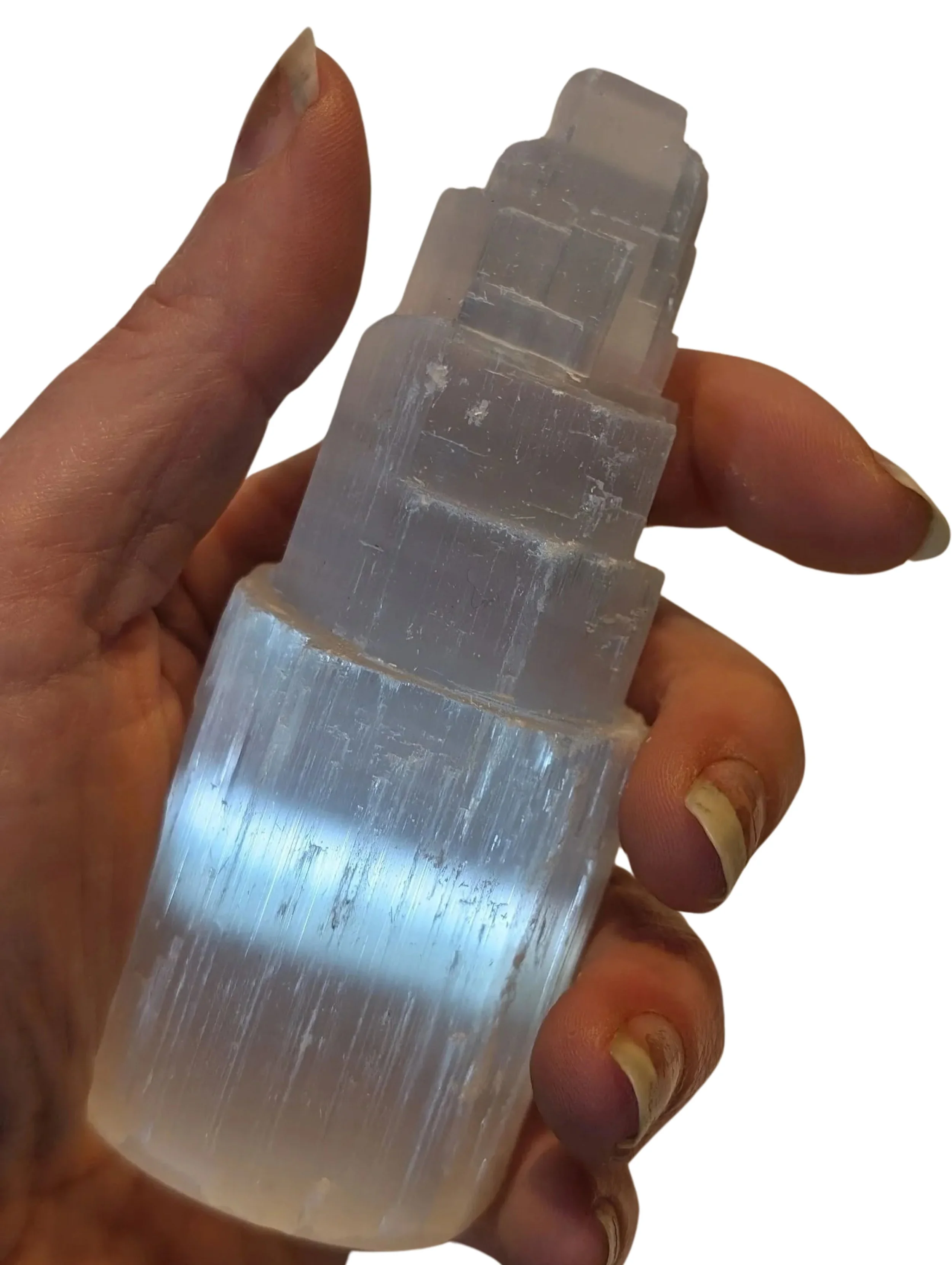 Studio-Project - 2025-12-10T124129.461.jpg