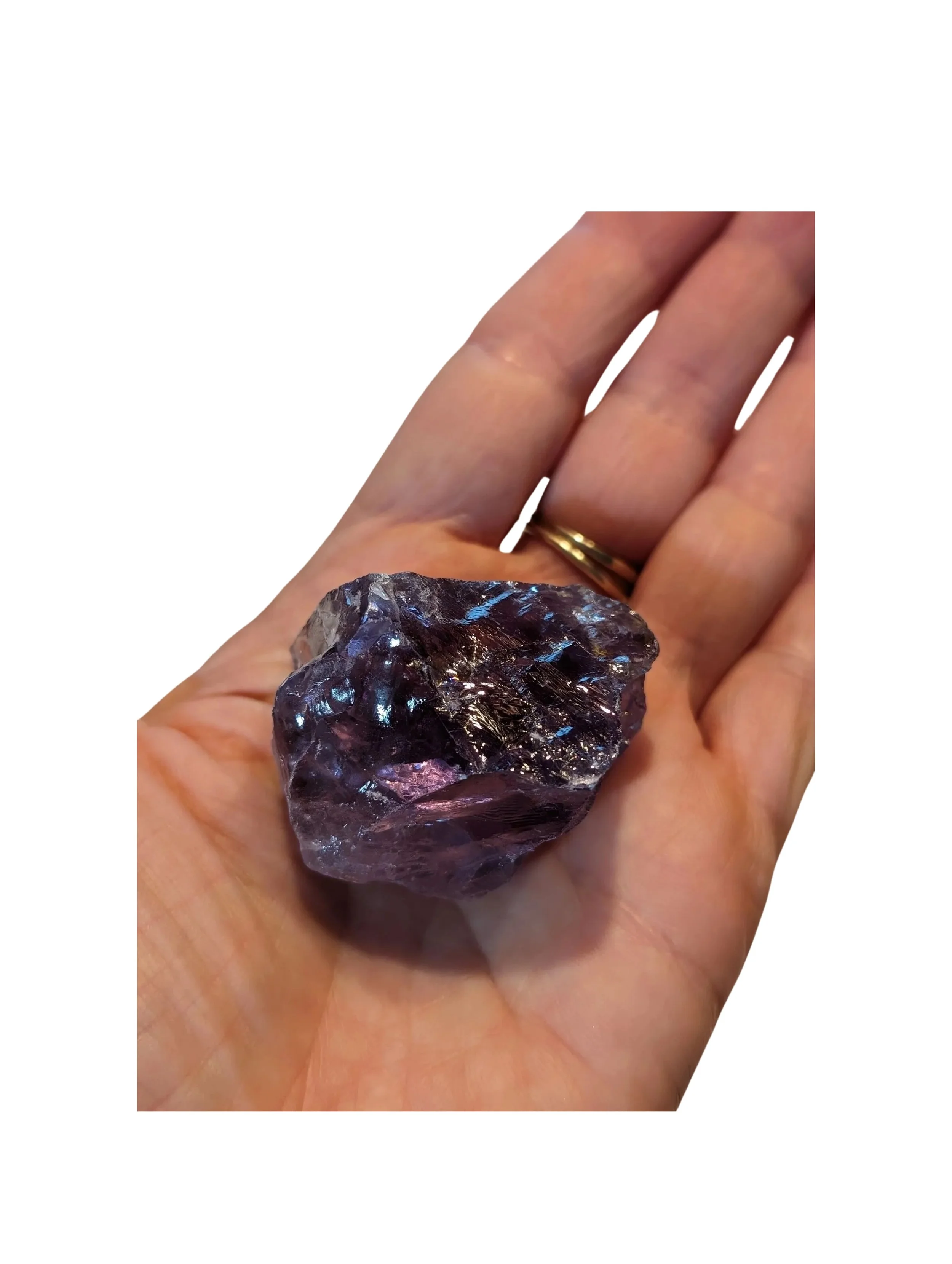 Studio-Project - 2026-01-06T082536.771.jpg